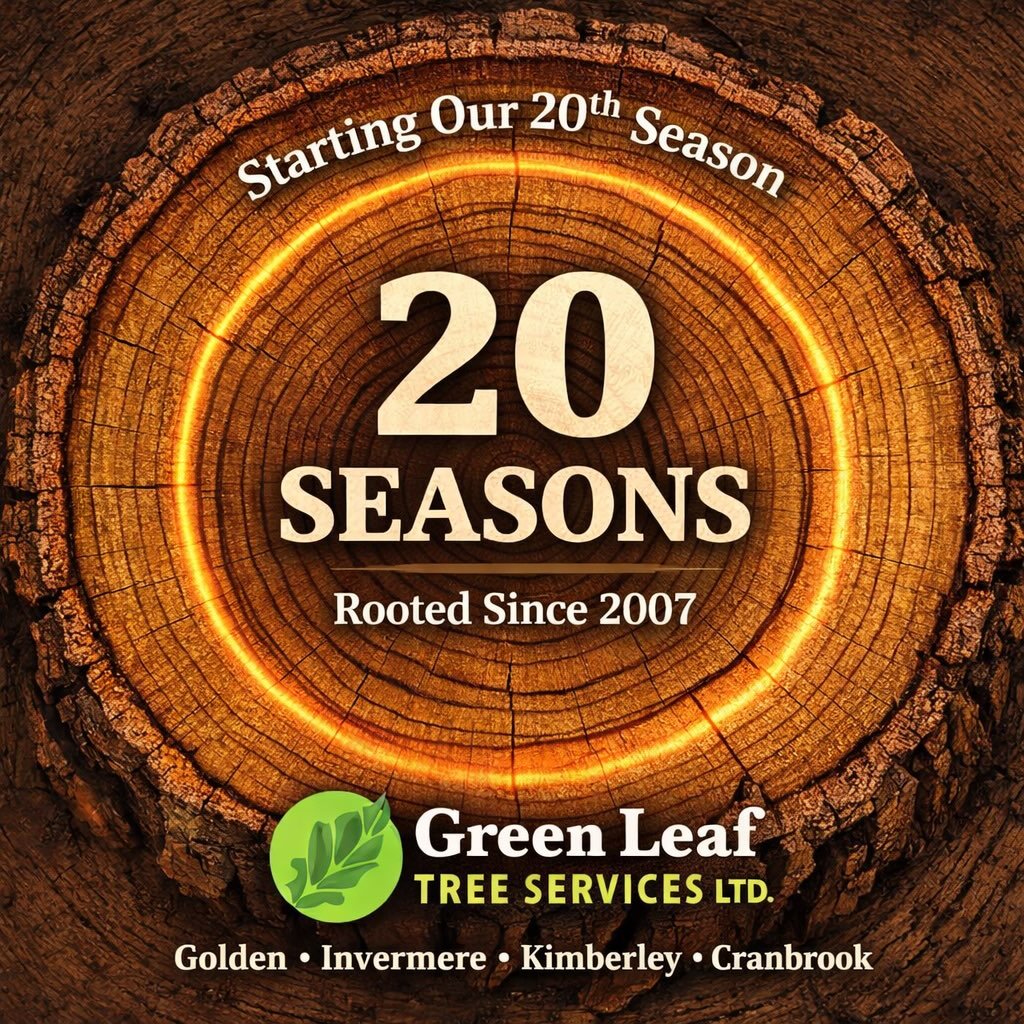 20 seasons.
Built one ring at a time.
A few tight ones. A few wide ones.
All part of the story.

Feels like we&rsquo;re just getting started.

#20Seasons #StillGrowing #RootedHere #TreeCare #CommunityFirst
