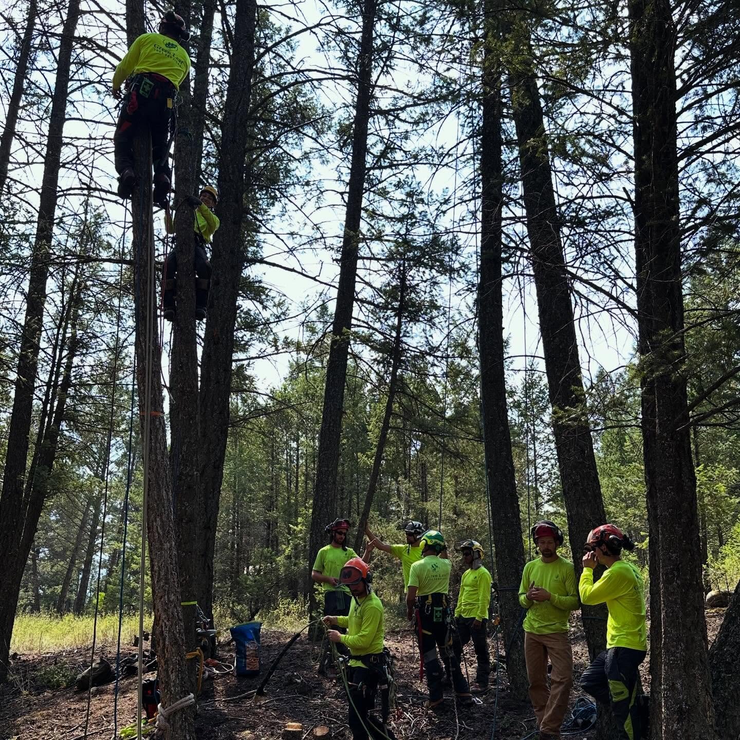Always learning. Always improving. 🌲

We&rsquo;re constantly refining how we work to be safer, smarter, and more efficient&mdash;protecting our crews, your property, and reducing liability for everyone involved.

#TreeCare #SafetyFirst #Professional