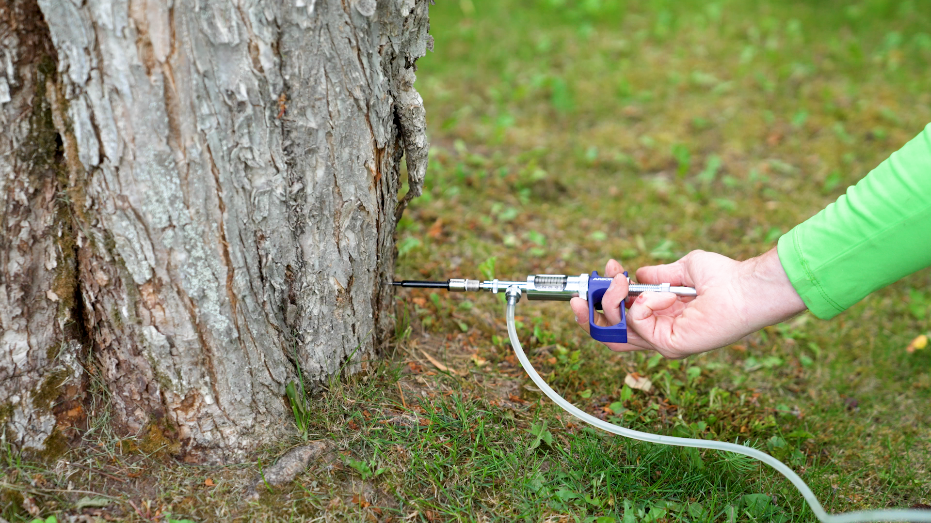 4. Plant Care Health.00_01_02_17.Still008 (1).png