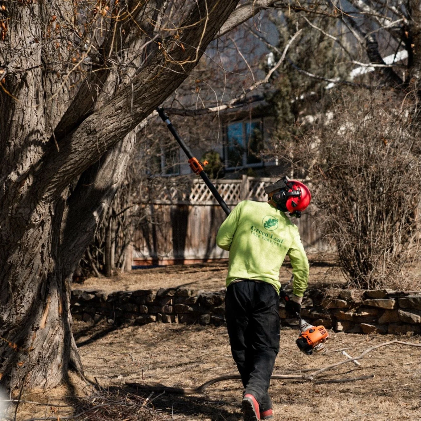 🎯 Your goal is simple: safe, healthy trees &mdash; and peace of mind knowing they won&rsquo;t become a problem later.

⚠️ The challenge?
Poor pruning often causes more damage than leaving a tree alone &mdash; especially when it&rsquo;s done without 