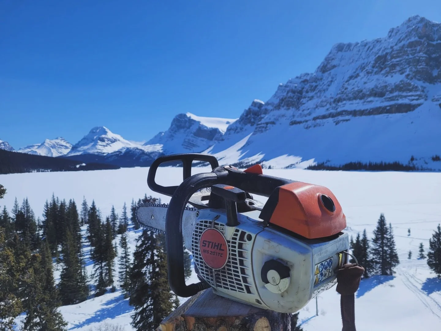 Rocky Mountain proud. 🌲🤟

#greenleaftreeservices #treework #arborist #lakelouise