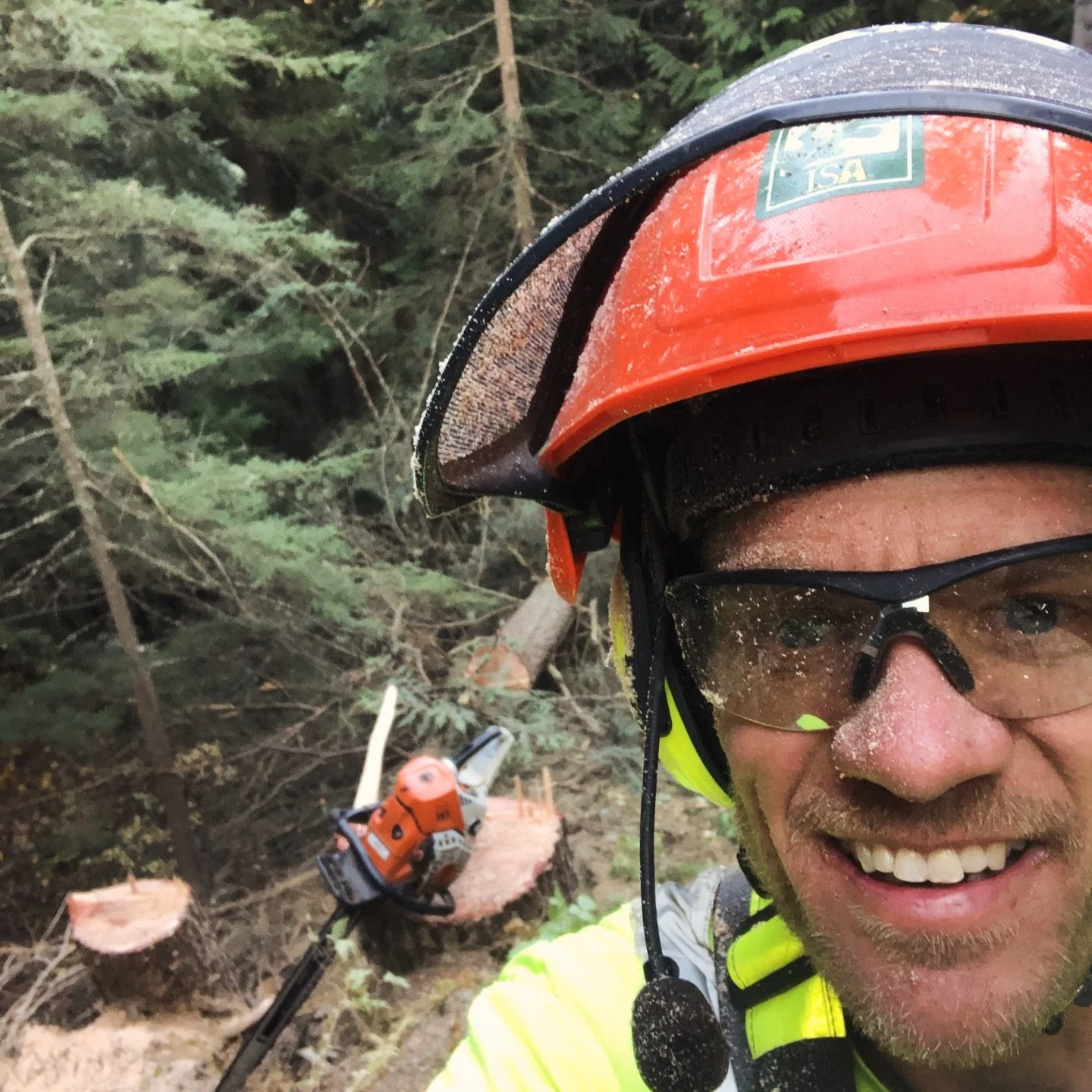 🌲 20 years ago I started Green Leaf Tree Services with a truck, a chainsaw, and a simple idea &mdash; our communities deserved professional tree care done right.

Since then we&rsquo;ve had the privilege of working in the yards, forests, and neighbo