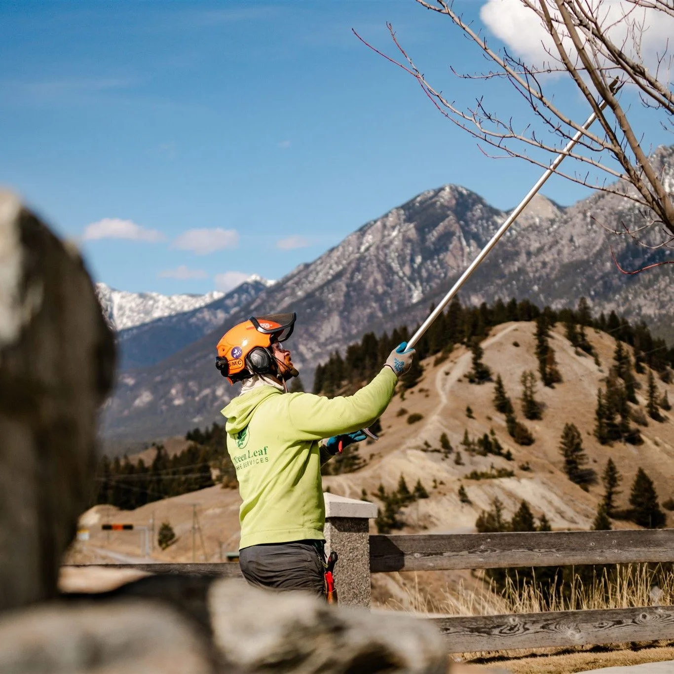 Spring&rsquo;s showing up.
Time to shape up. 🌱

#treecare #springpruning #invermere #goldenbc #cranbrookbc
