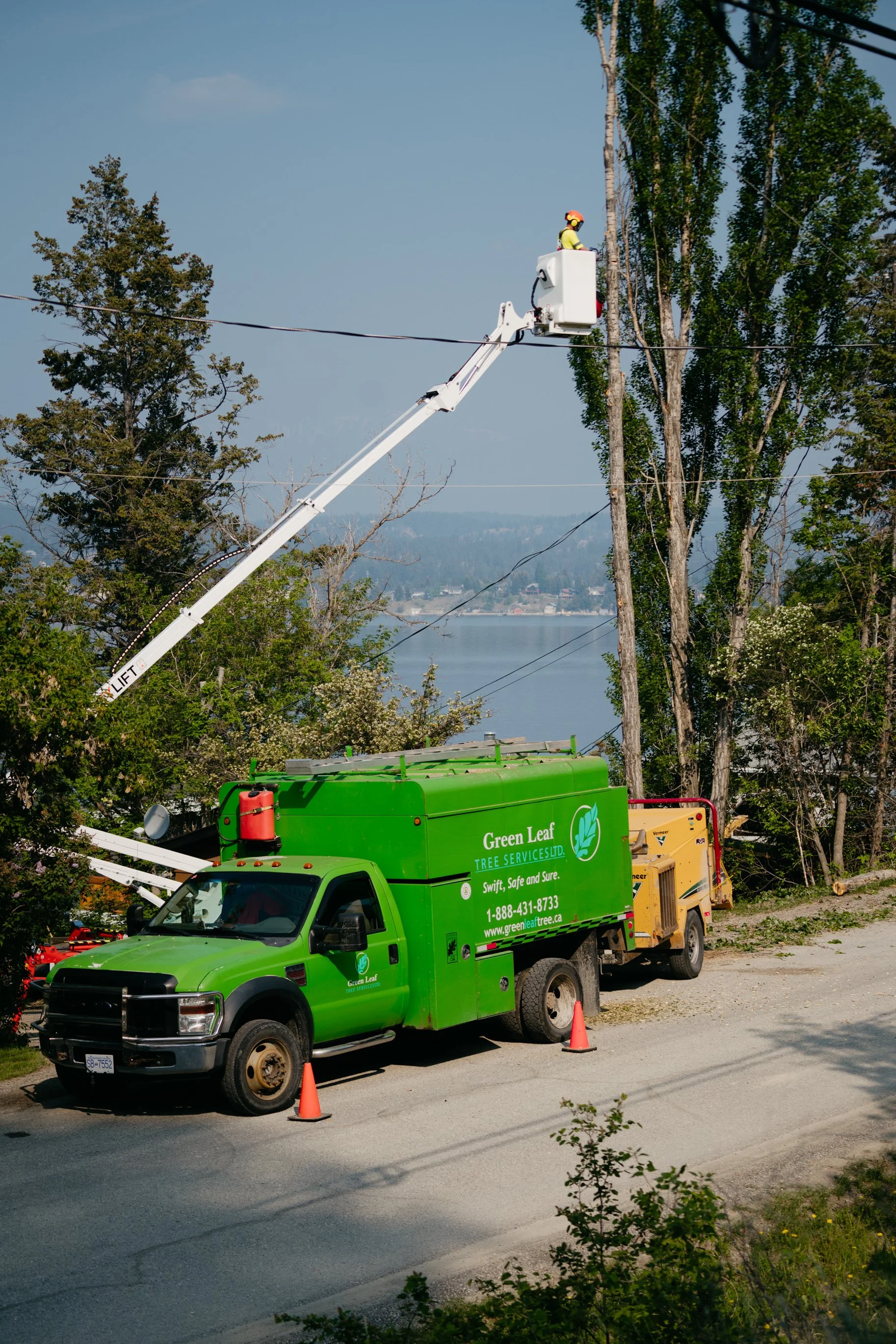 Tree Care in the Columbia Valley: What to Know Before Hiring an Arborist