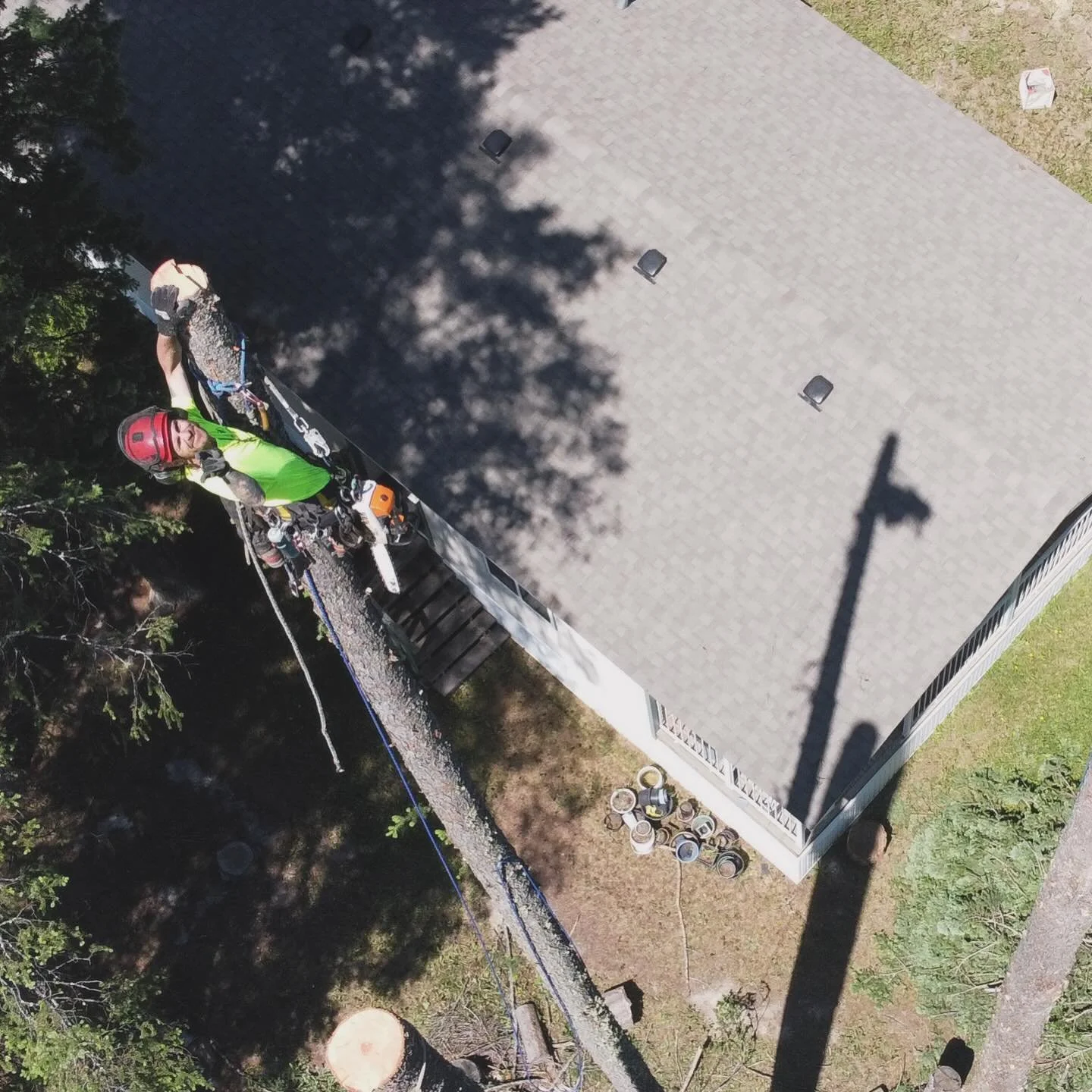 Customer Spotlight 🌲

There&rsquo;s nothing better than hearing from customers who have trusted us with their trees year after year.

Donna recently shared this after working with our crew in the Columbia Valley:

&ldquo;Friendly, professional AND a