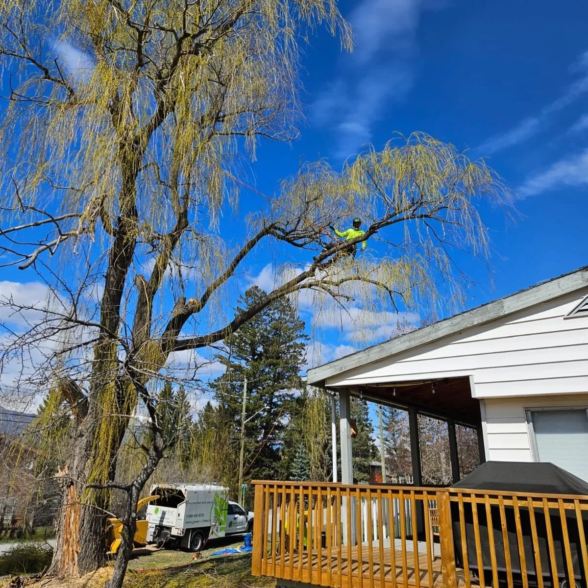 Monday. Time to get to work 🪓