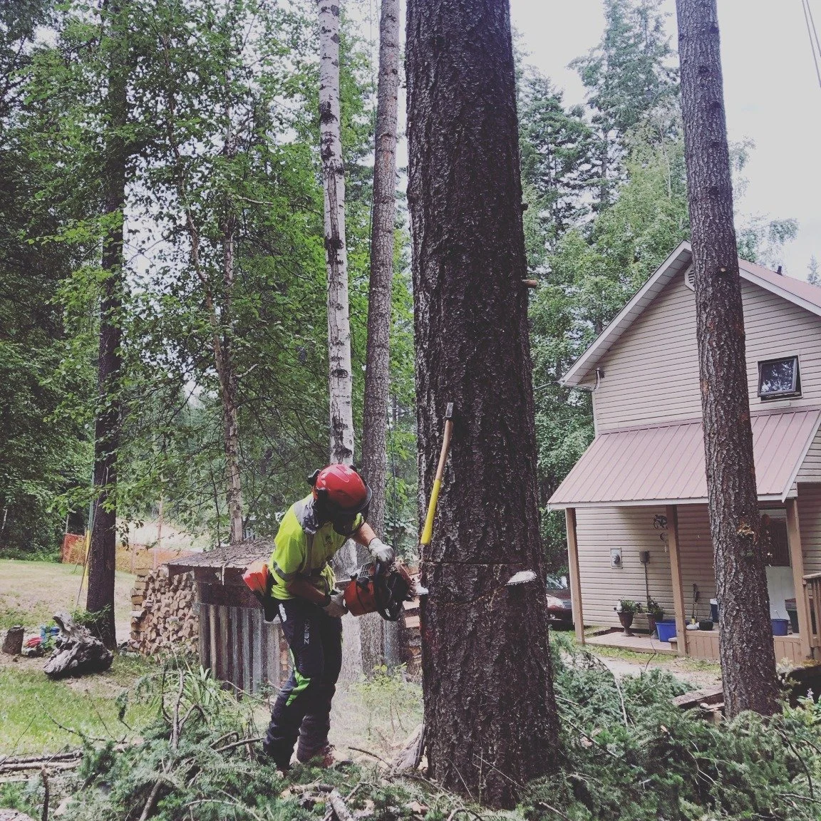 Falling certification. Why does it matter? 🌲

Tree falling is one of the highest-risk trades in British Columbia, and with good reason. Every tree is different. Every cut has consequences.

What many people don't realize is that in BC, falling trees