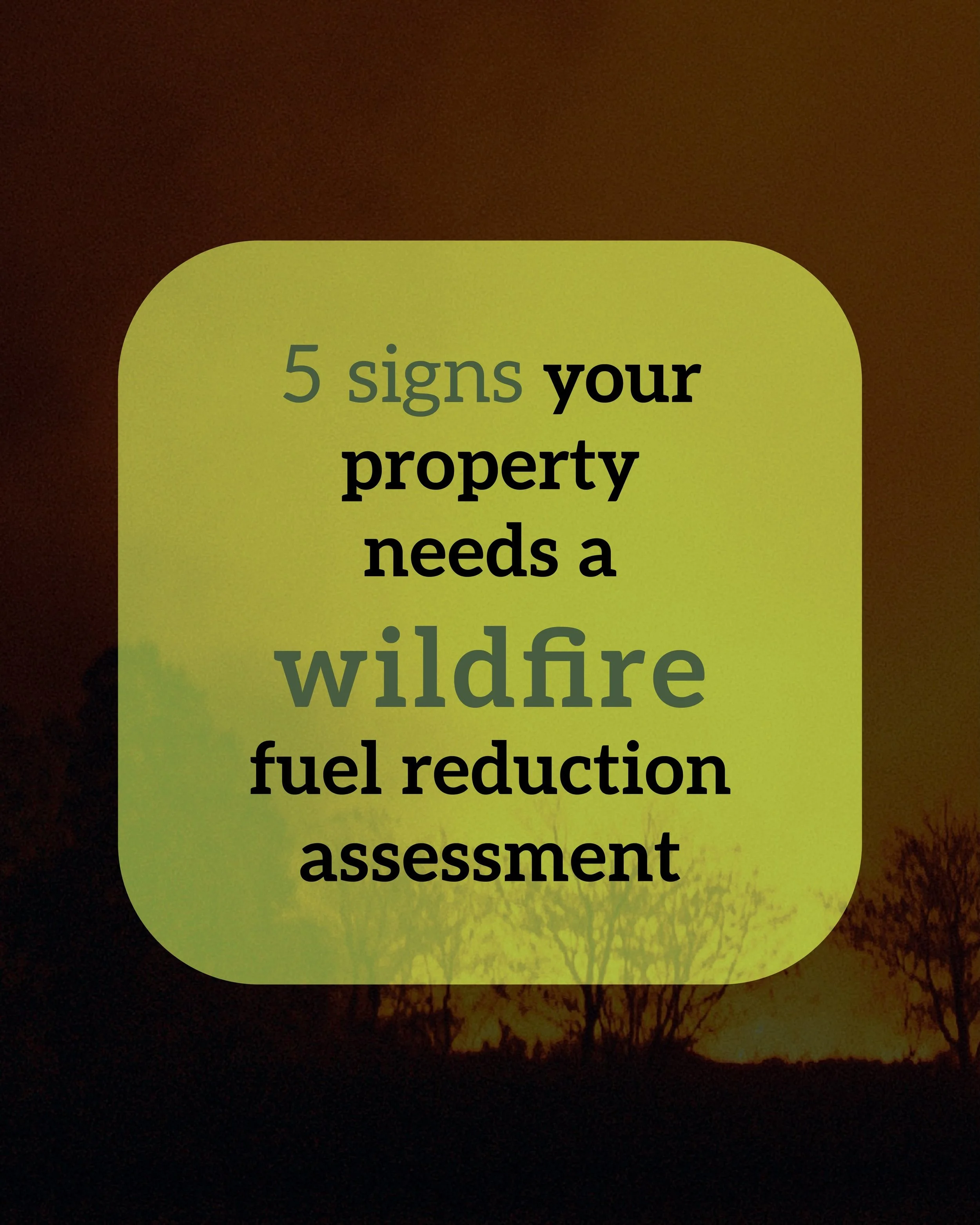 Wildfire season is here and we know how stressful that can be. Small changes around your property can make a big difference. A wildfire fuel reduction and mitigation assessment helps to identify hazards, improve tree health and reduce risk to your ho