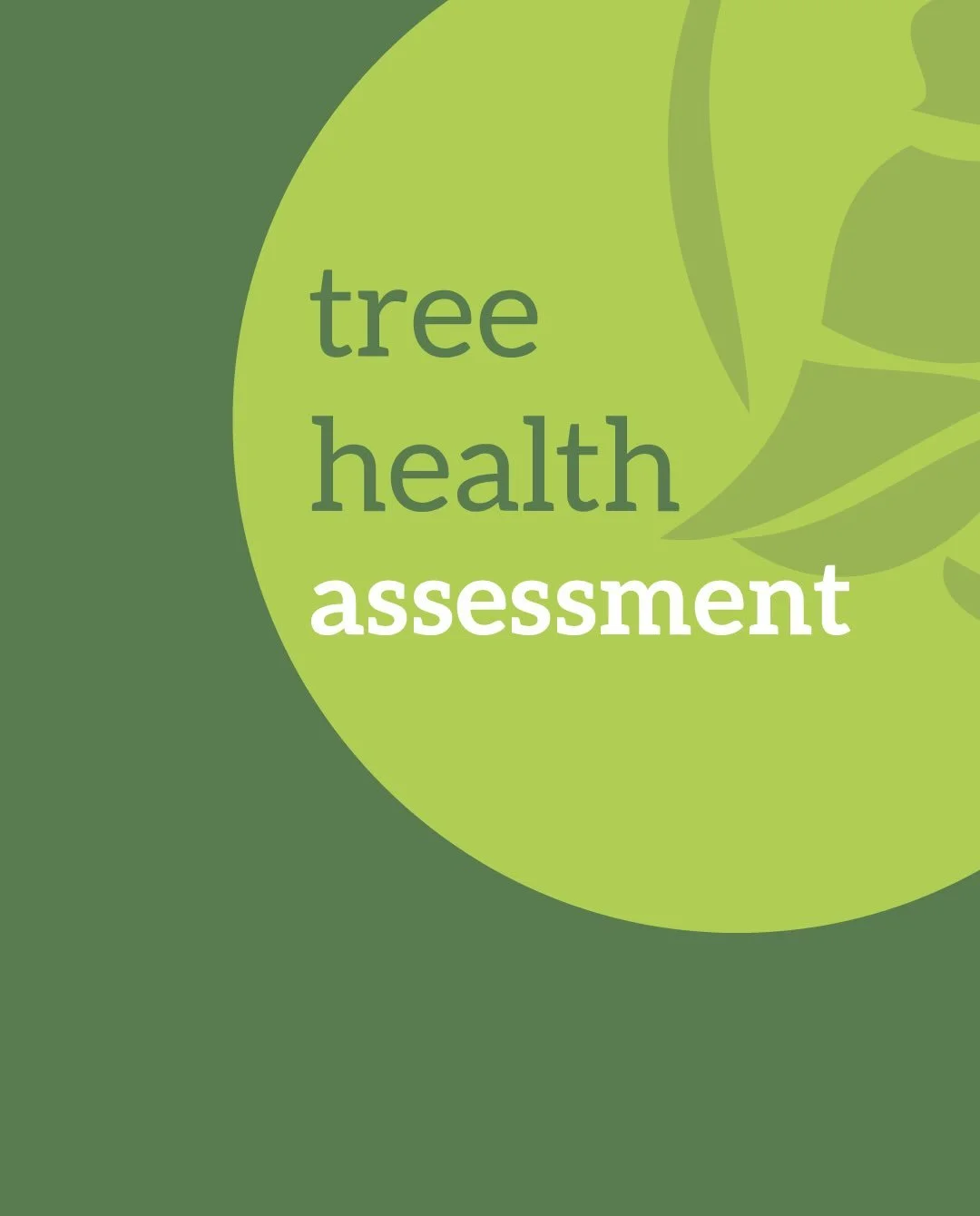 A resilient property starts with healthy trees.

Your trees are one of the biggest assets on your property&mdash;but like anything worth protecting, they benefit from regular care.

An annual tree health assessment is an opportunity to identify poten
