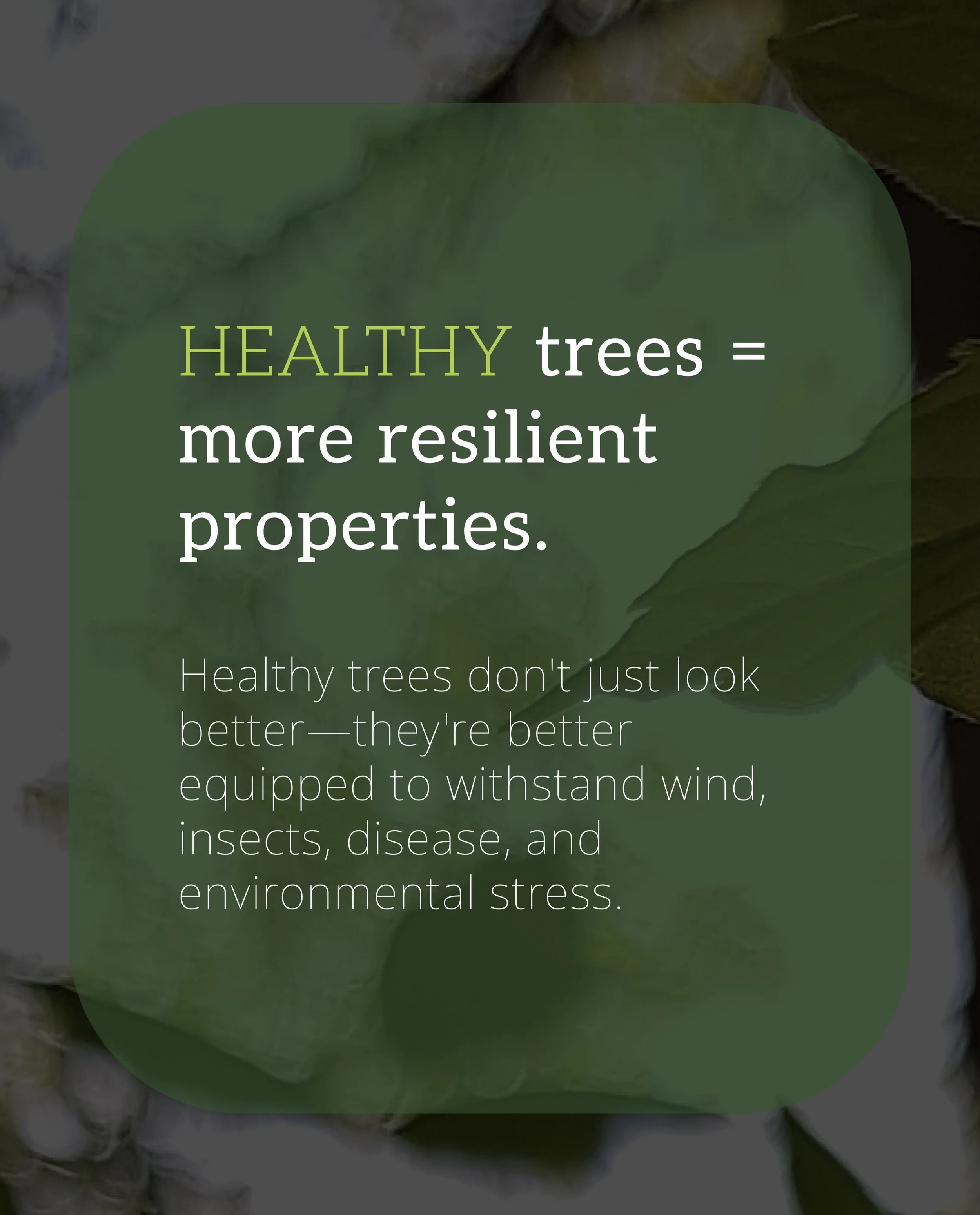 Healthy trees are one of the greatest assets on your property, but they don&rsquo;t stay healthy on their own.

Just like your roof, furnace, or vehicle, trees benefit from regular maintenance and inspections. Catching small issues early can often pr