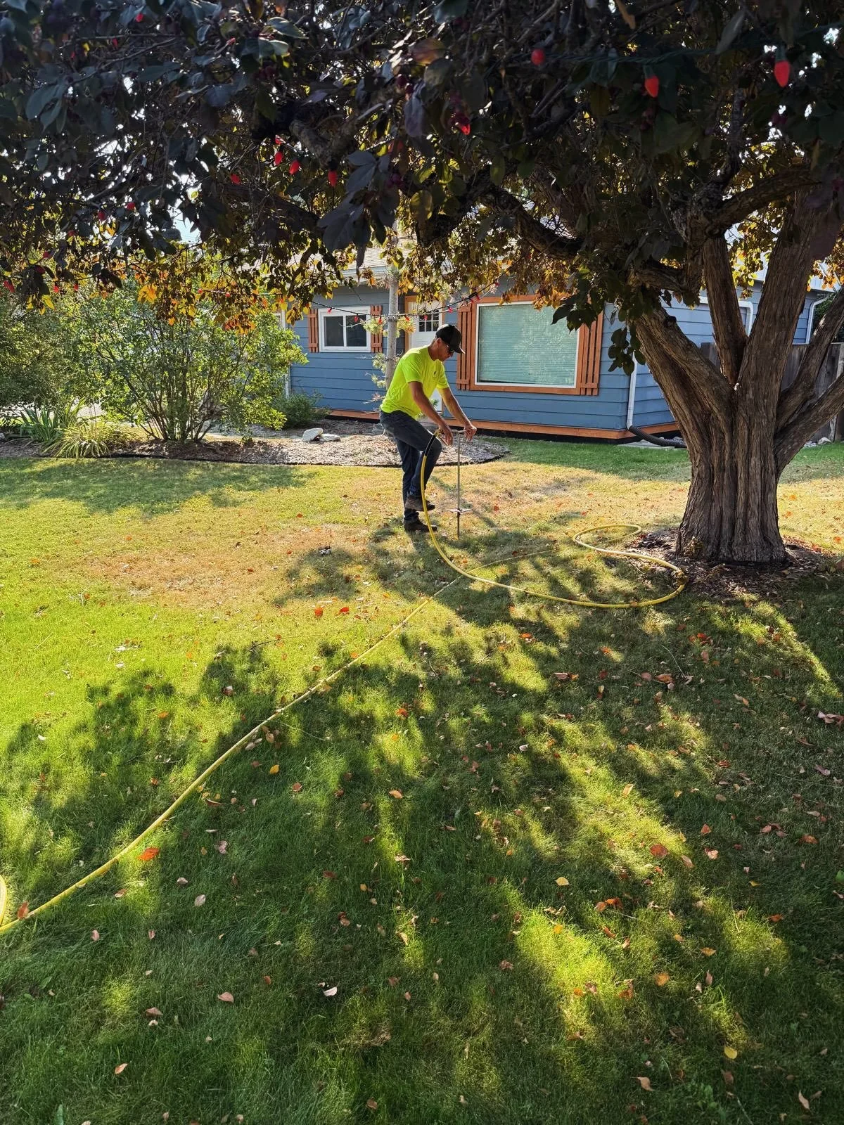 Your trees have had a tough summer.

After months of hot temperatures and dry conditions, many trees are showing signs of stress. 

While some damage is easy to spot, other impacts can take months or even years to become visible.

Deep root fertiliza