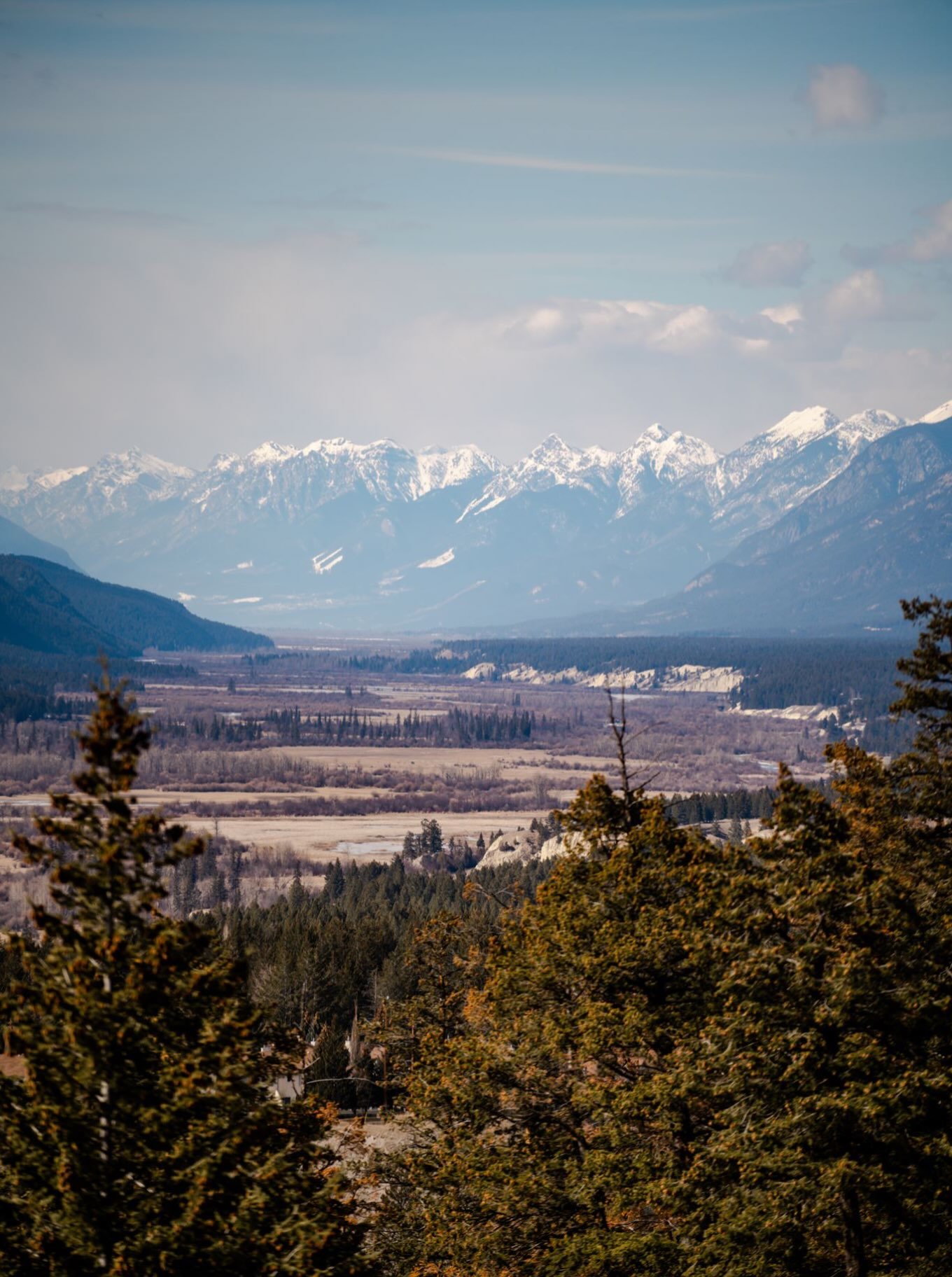 Why Planning Matters 🌲

When it comes to your property, the best time to make a plan is before something goes wrong.

Healthy, resilient properties aren&rsquo;t created overnight. They&rsquo;re built through small, proactive decisions over time&mdas