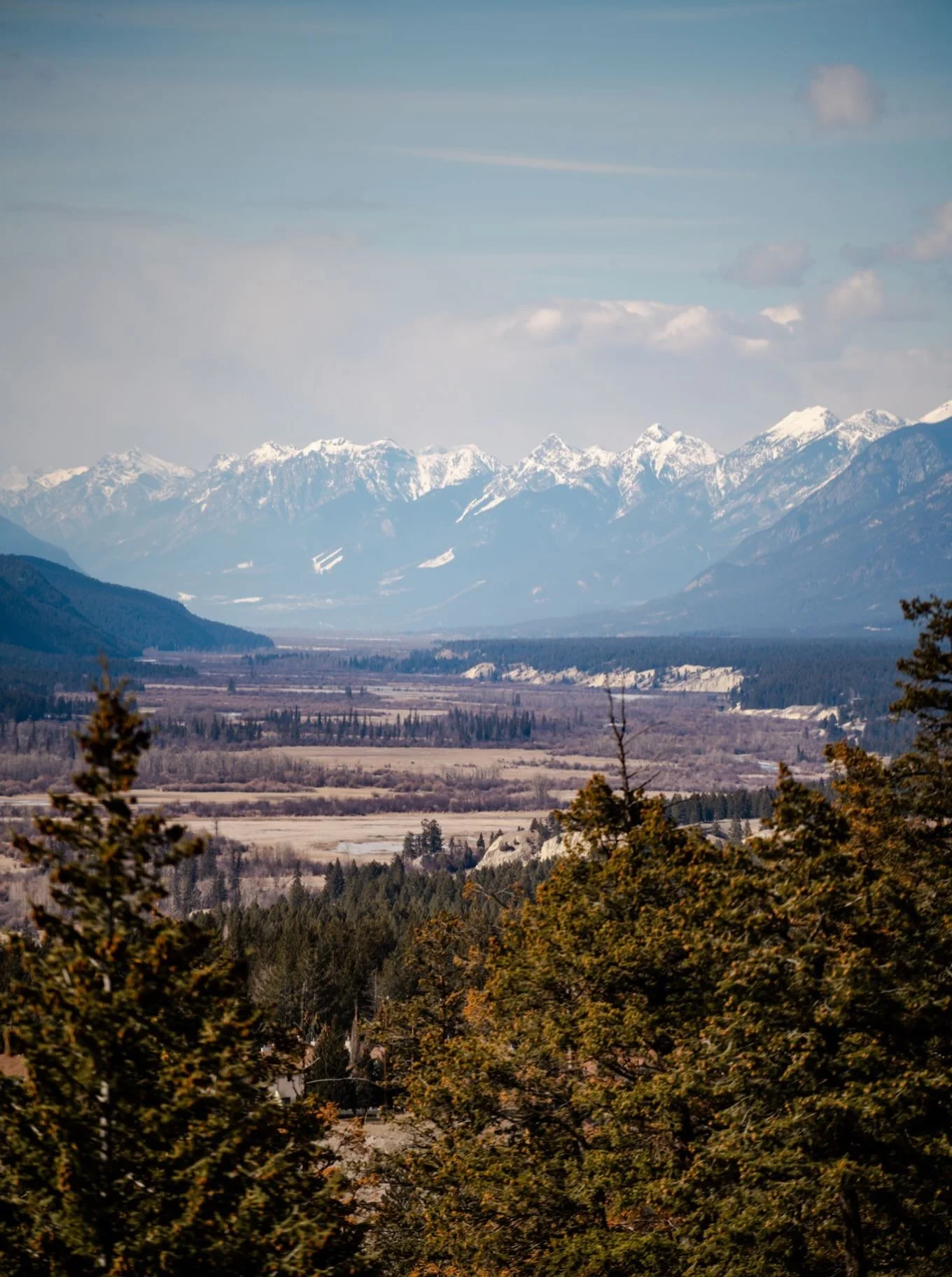 Why Planning Matters 🌲

When it comes to your property, the best time to make a plan is before something goes wrong.

Healthy, resilient properties aren&rsquo;t created overnight. They&rsquo;re built through small, proactive decisions over time&mdas