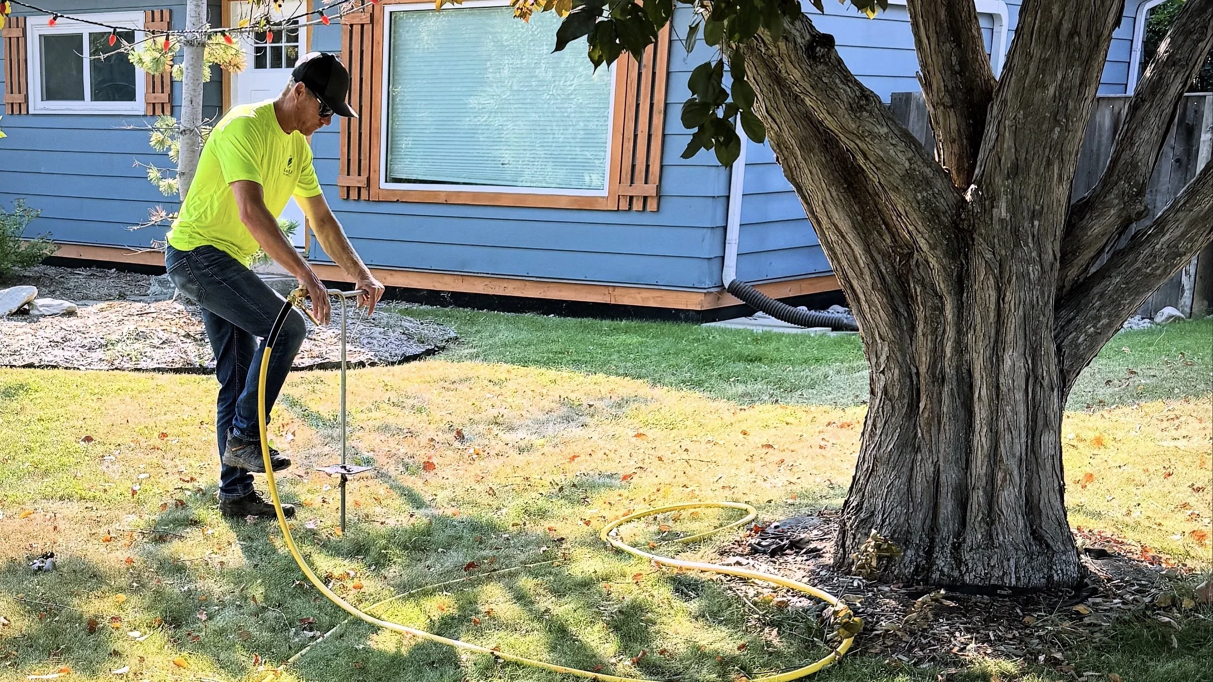 Deep Root Tree Fertilizing | Green Leaf Tree Services — Green Leaf Tree ...