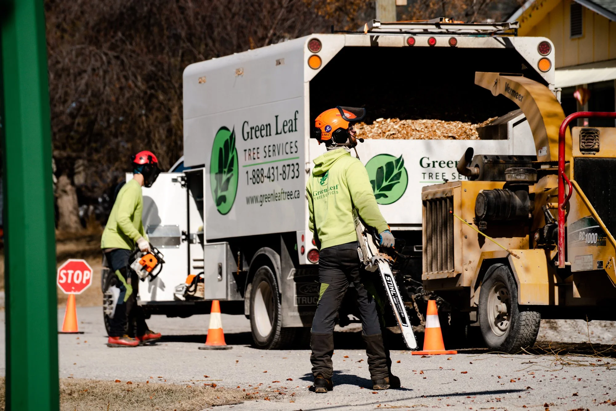Enhancing Landscape Safety and Health: Certified Arborists in the ...