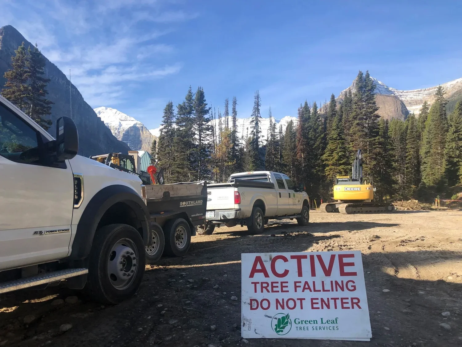 Certified Tree Falling- BC