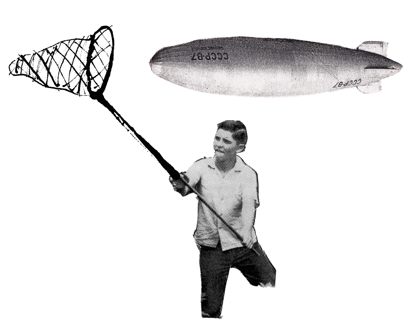 006Mockingbird.jpg