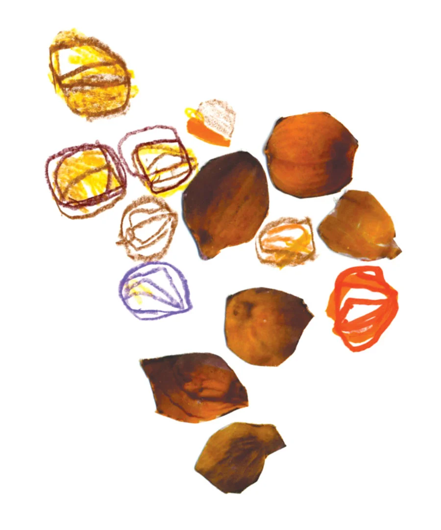 012WMagazines.jpg
