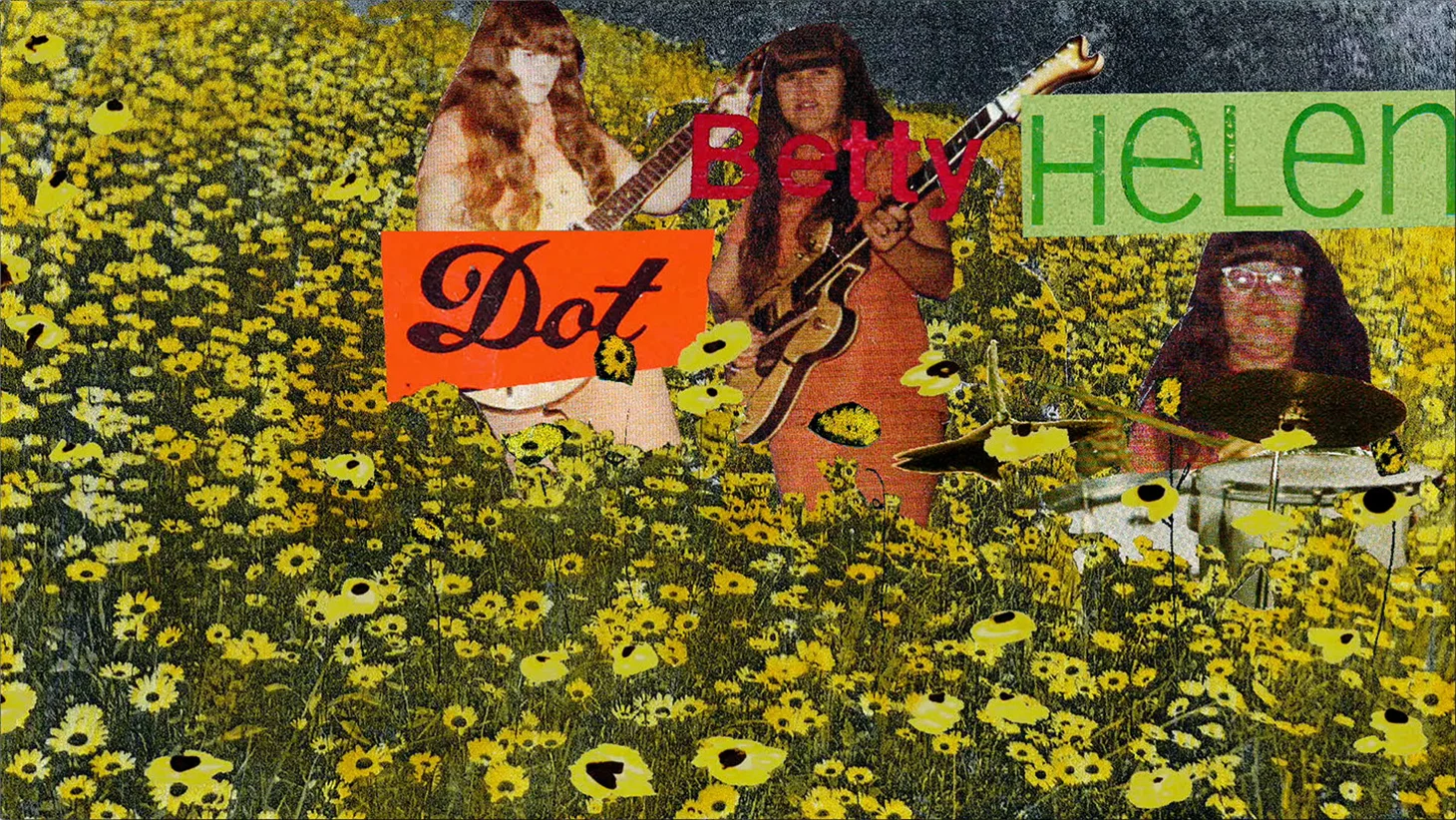 007TheShaggs.jpg