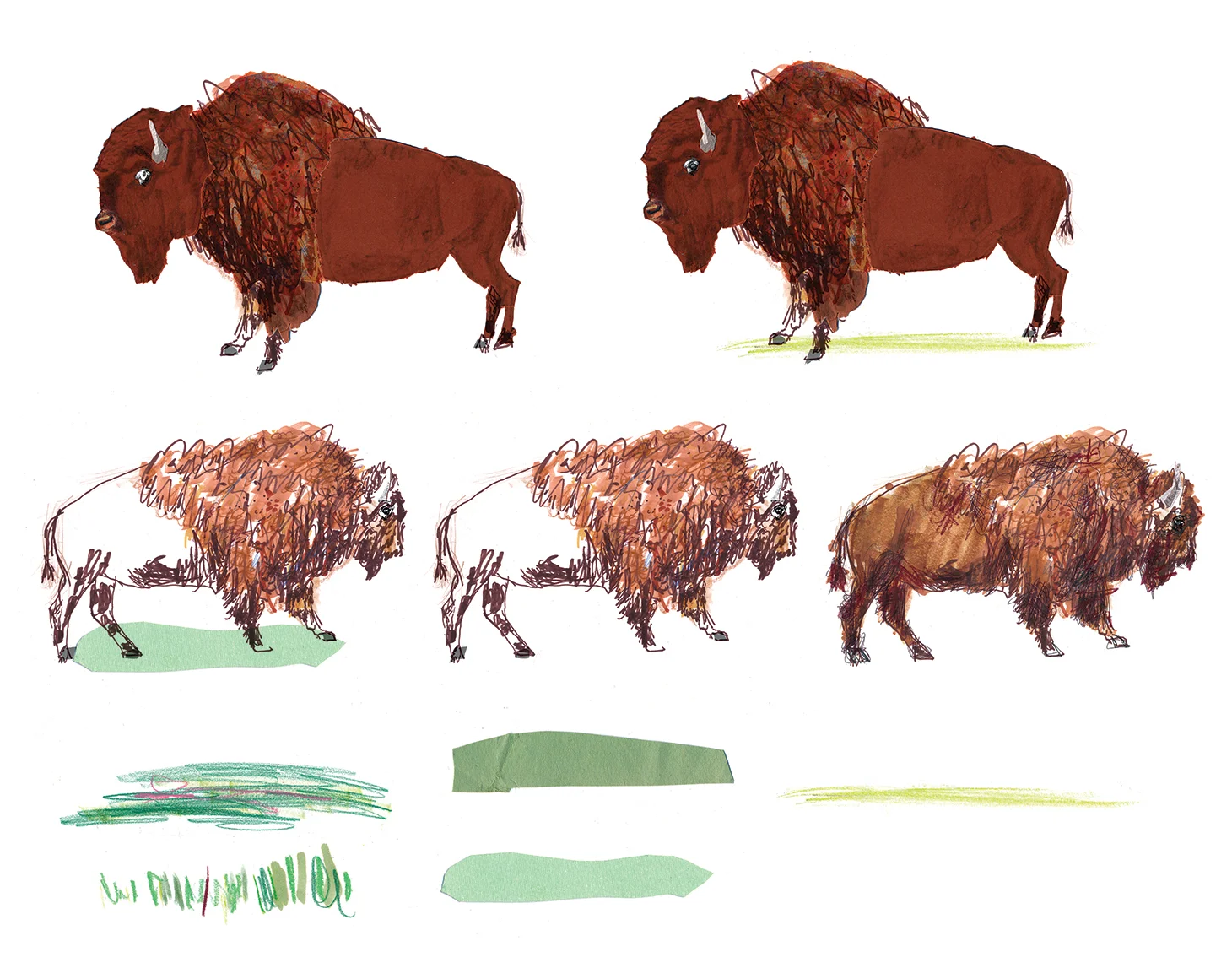 Buffalo Studies