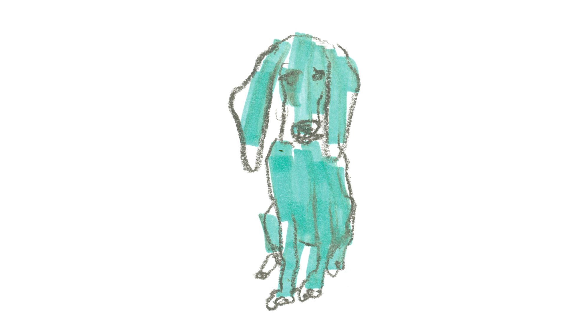 067dogs.png