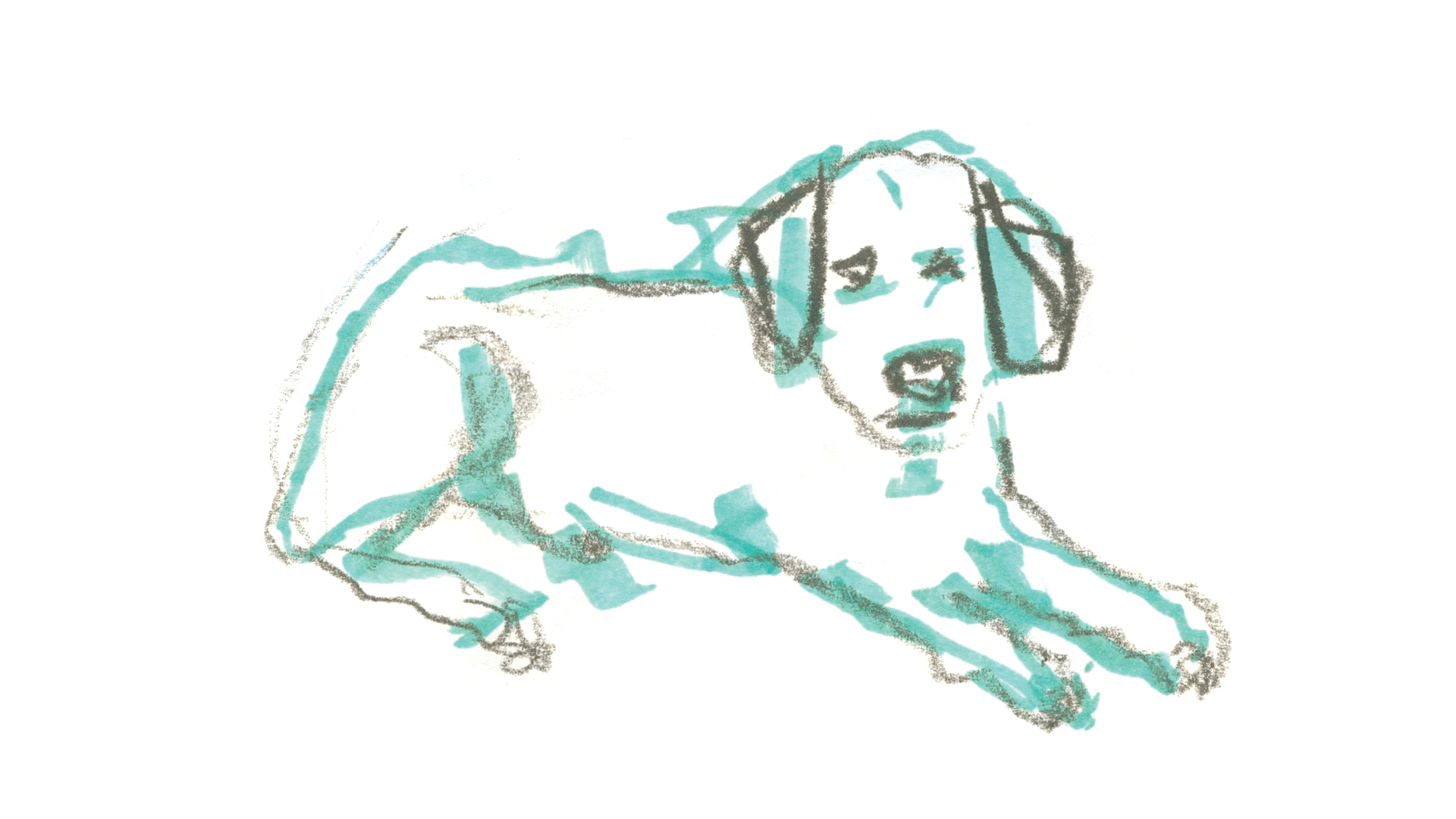088dogs.png
