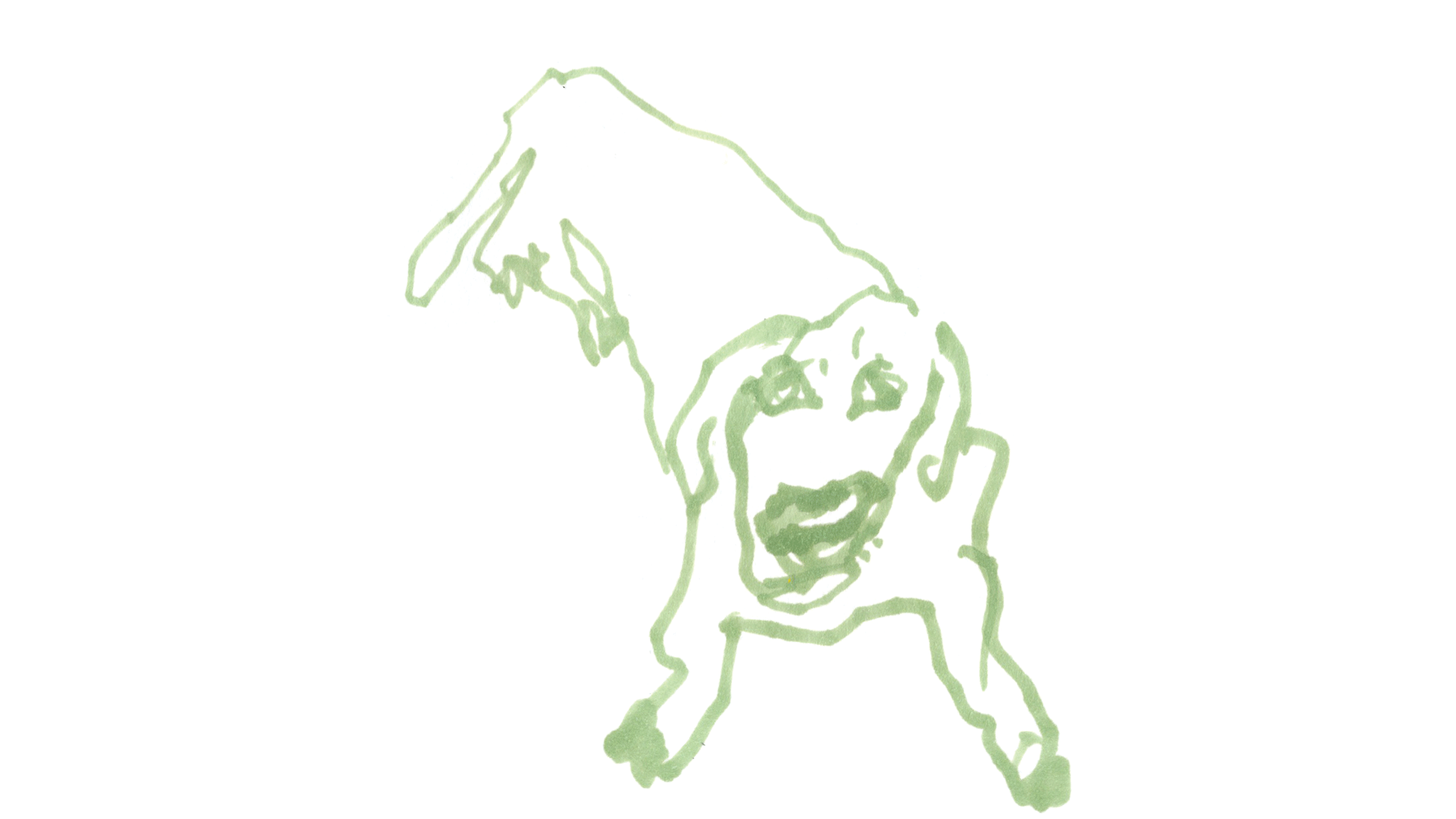 159dogs.png