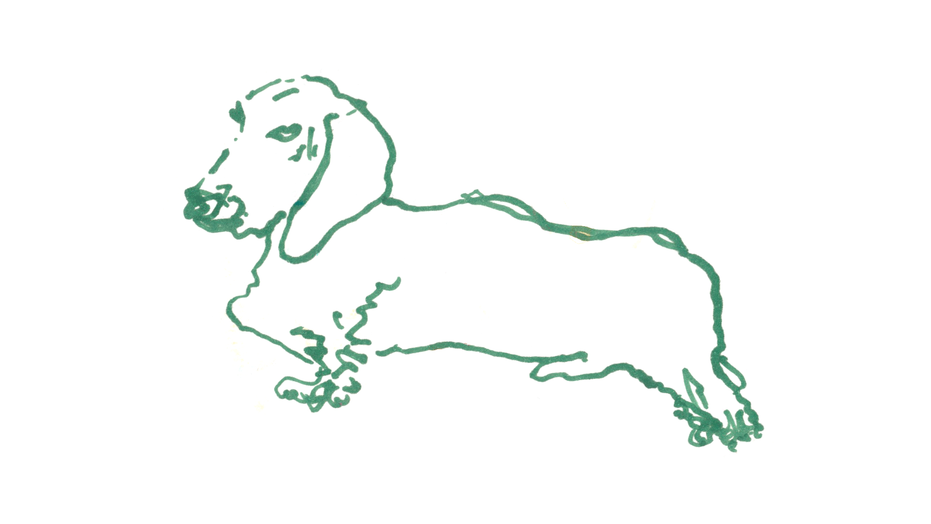 259dogs.png