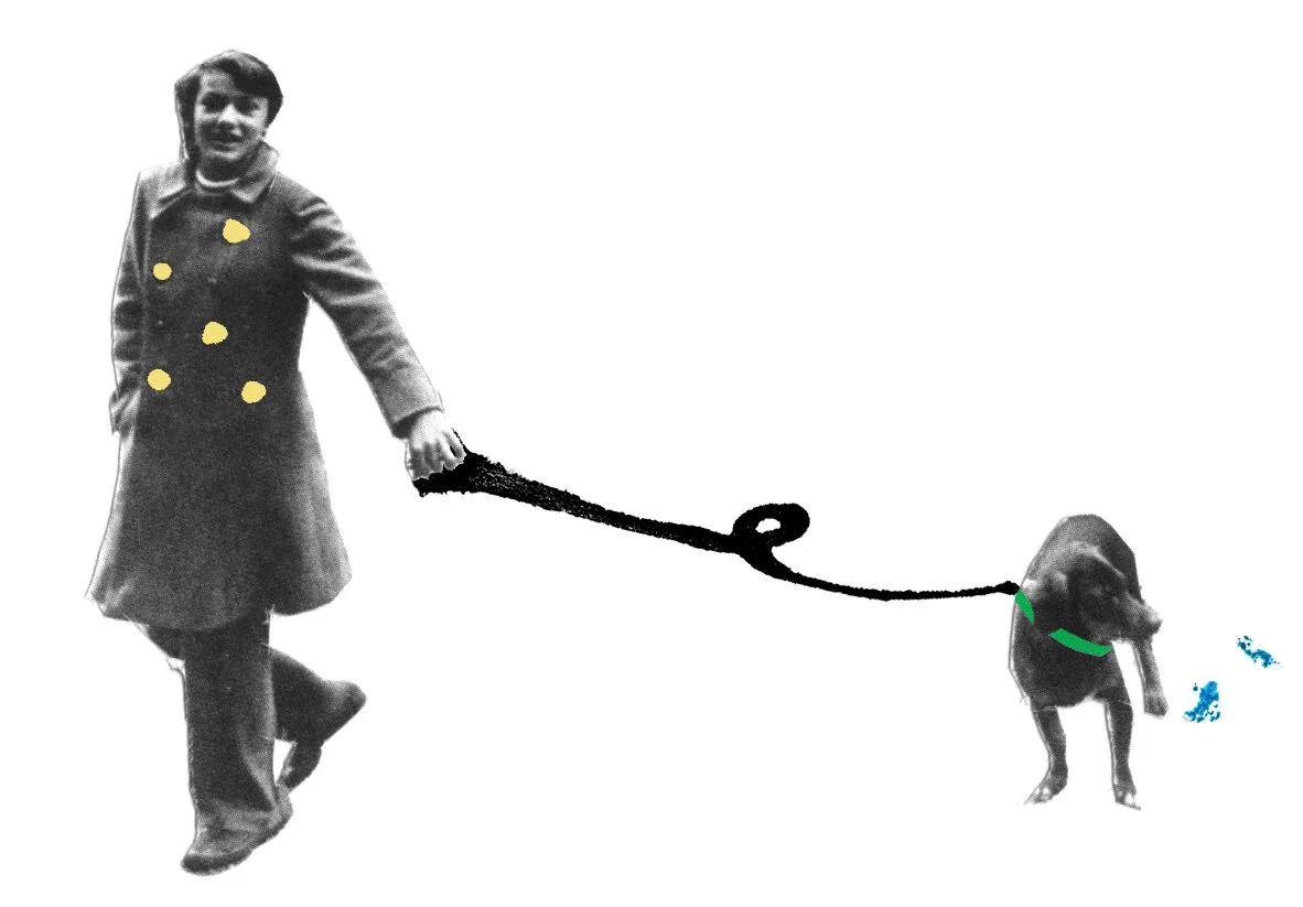 dogwalker_final.jpg