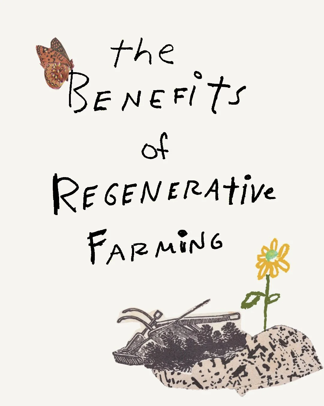 01TheBenefitsofRegenerativeFarming.jpg