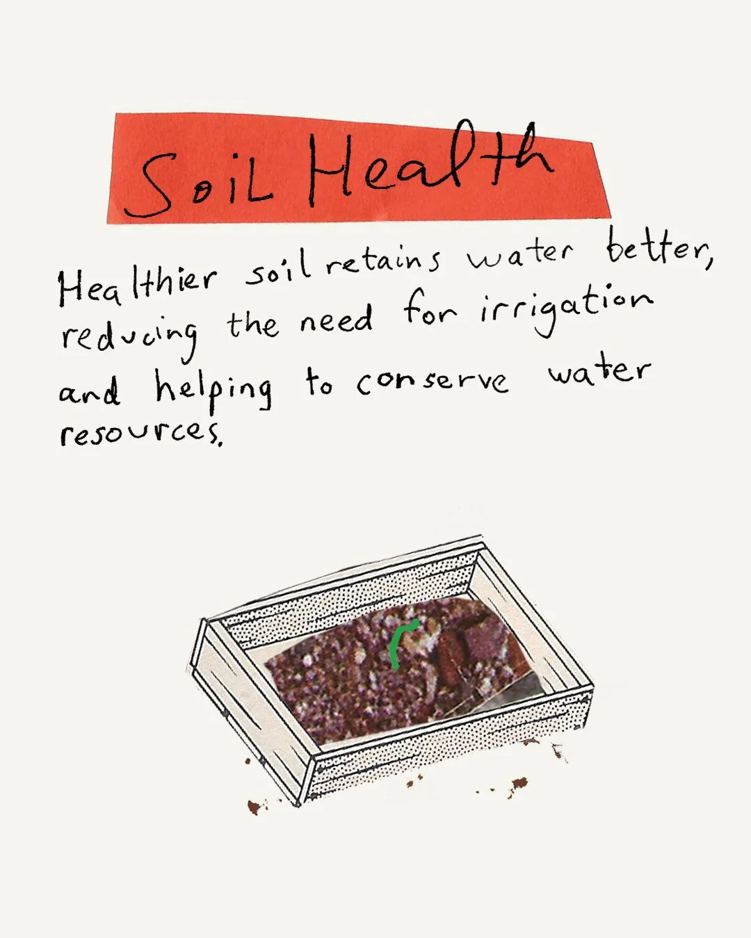 02SoilHealth2.jpg