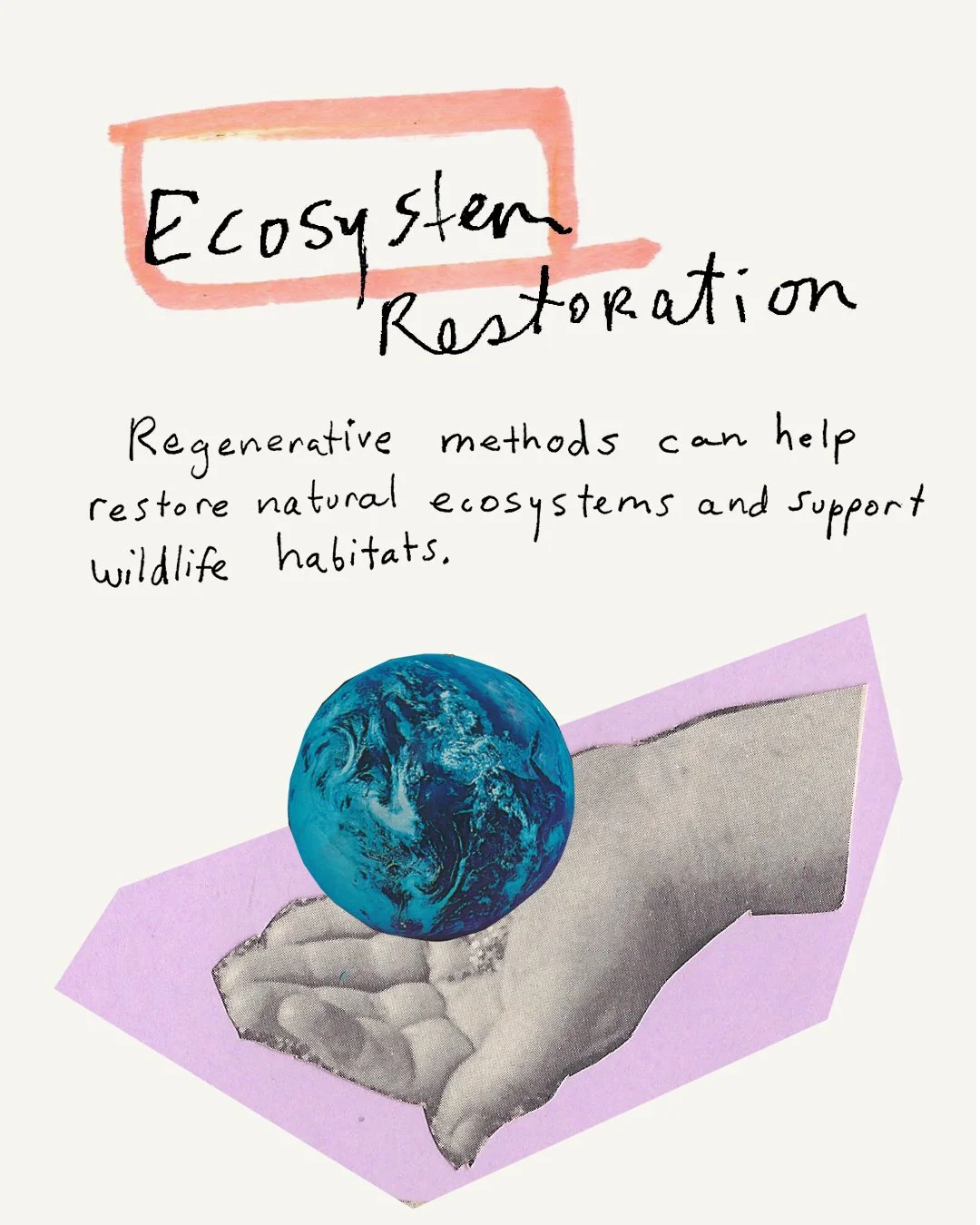 04EcosystemRestoration-copy2.jpg
