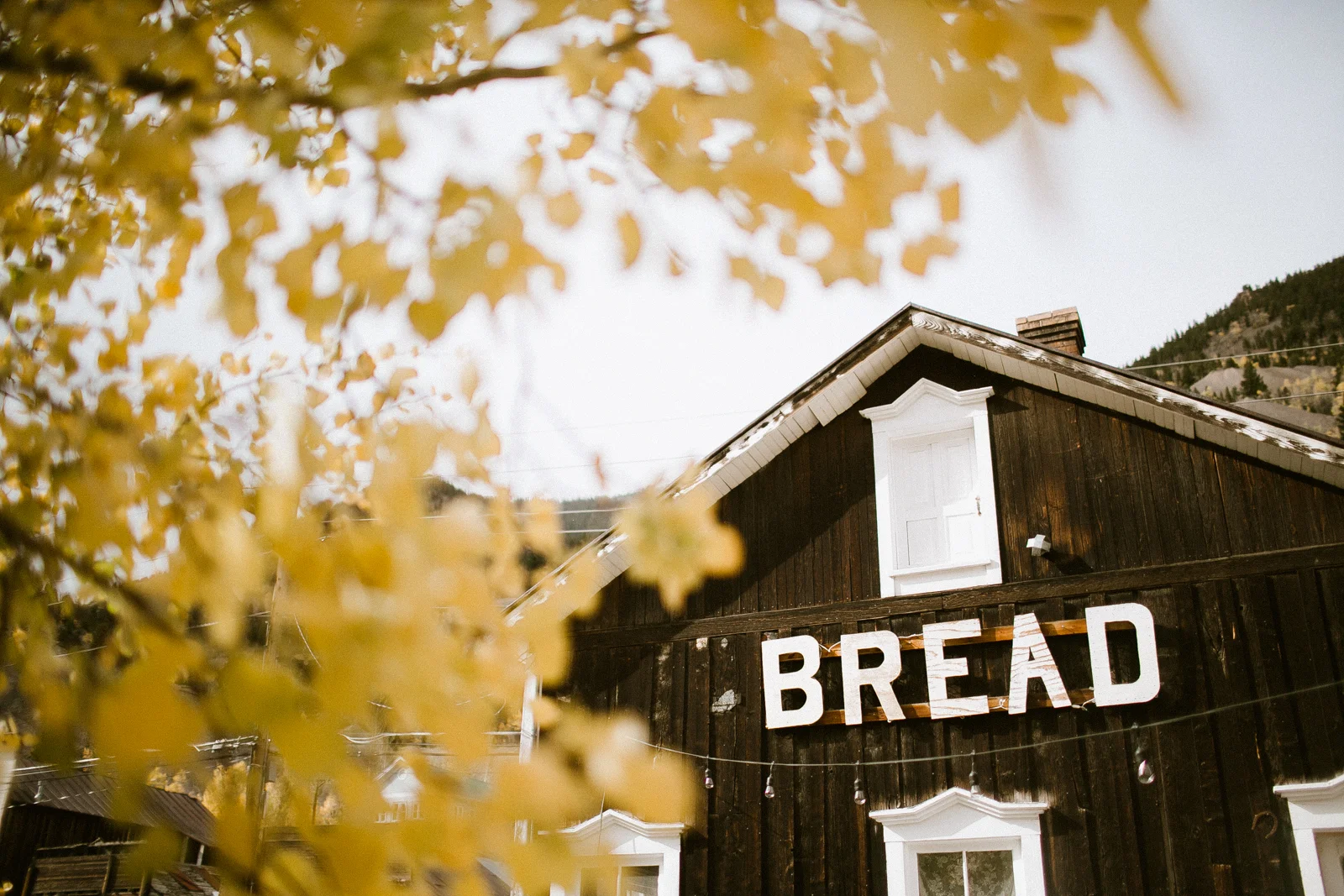 breadbarforlale-91.jpg