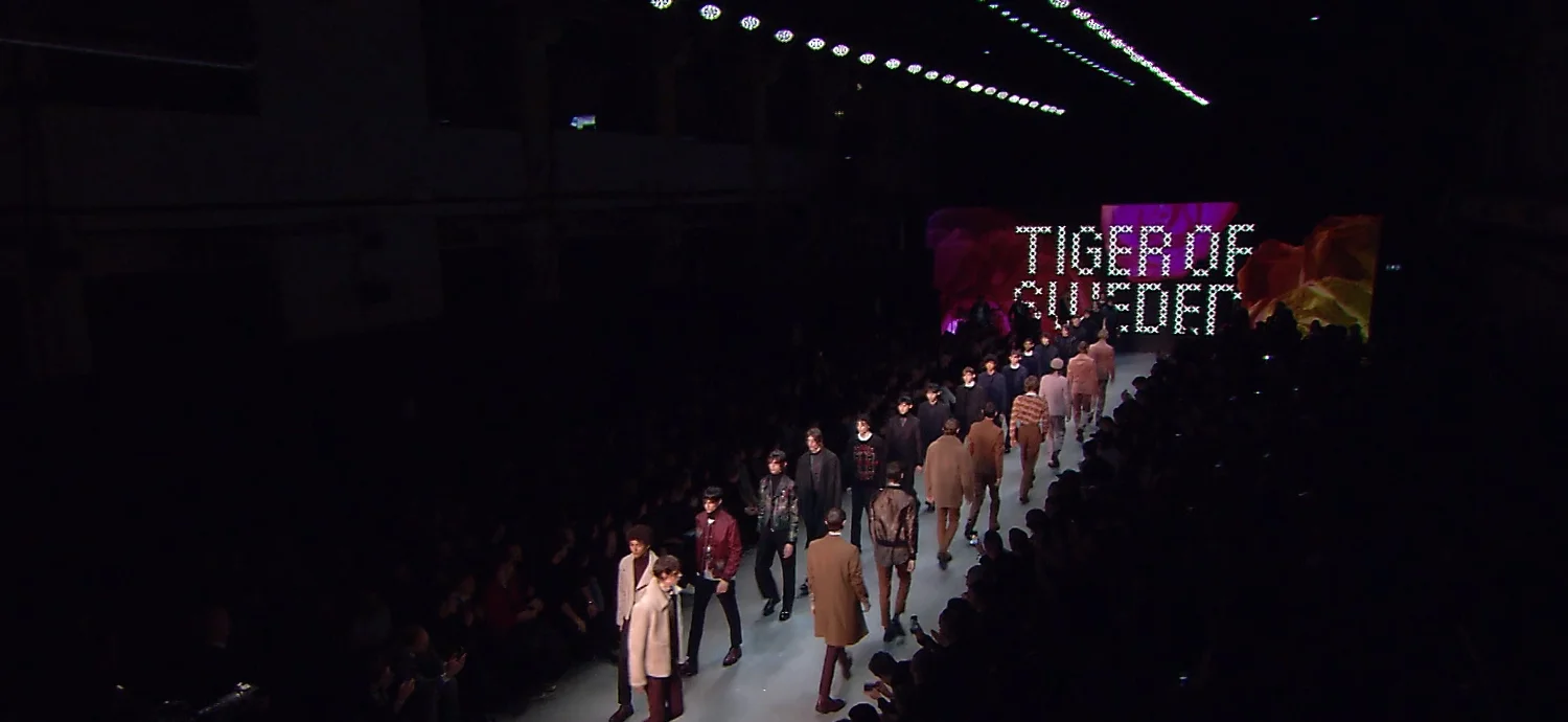 TIGER OF SWEDEN