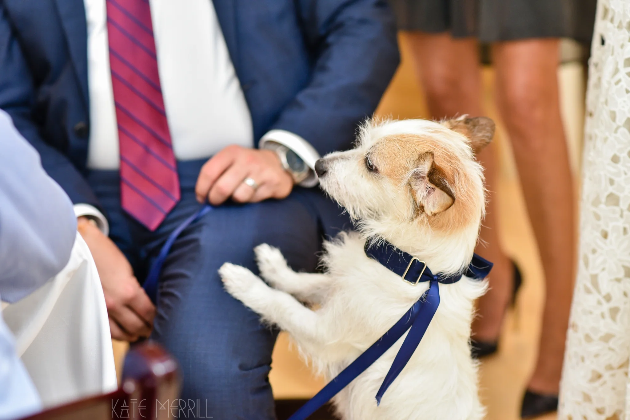 montclair-civic-center-wedding_28.jpg
