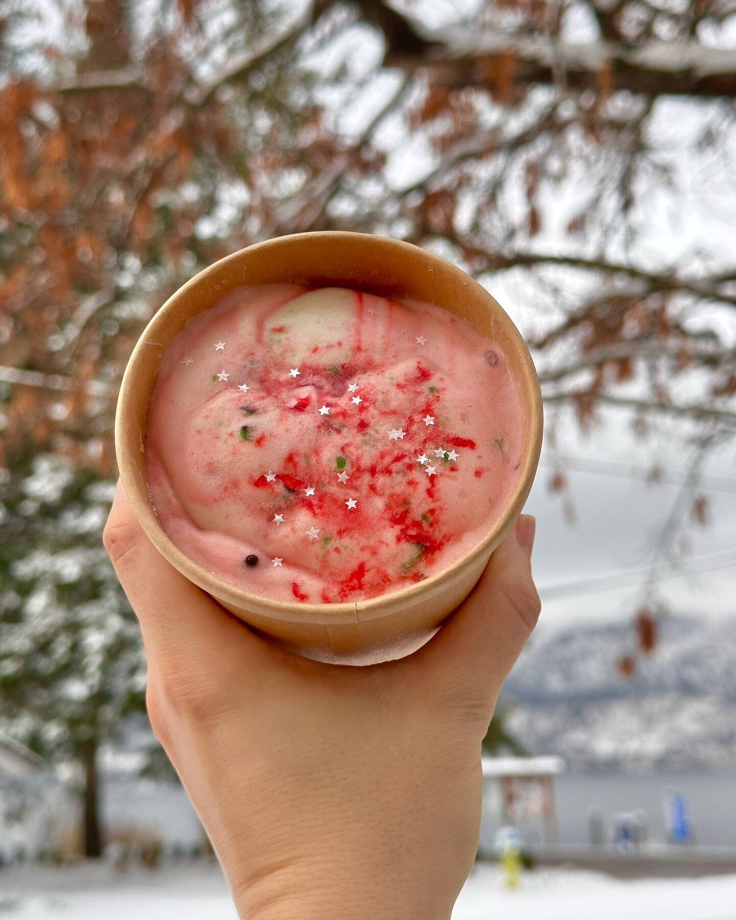 The Salty Caramel Kitchen