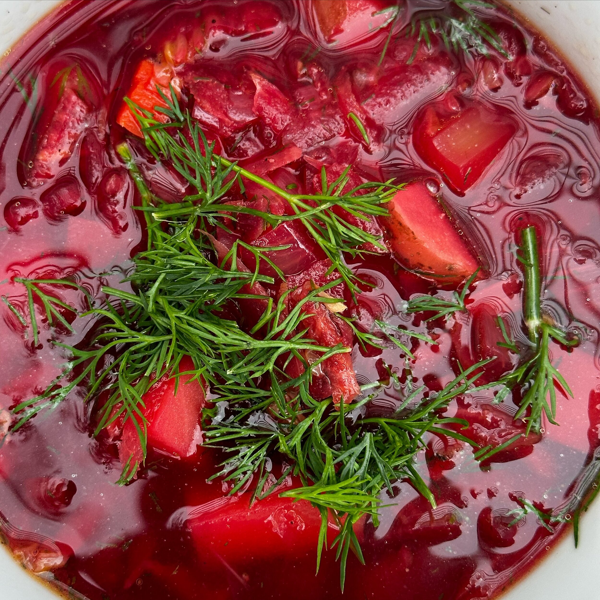 Soup of the day: beet borscht 💕