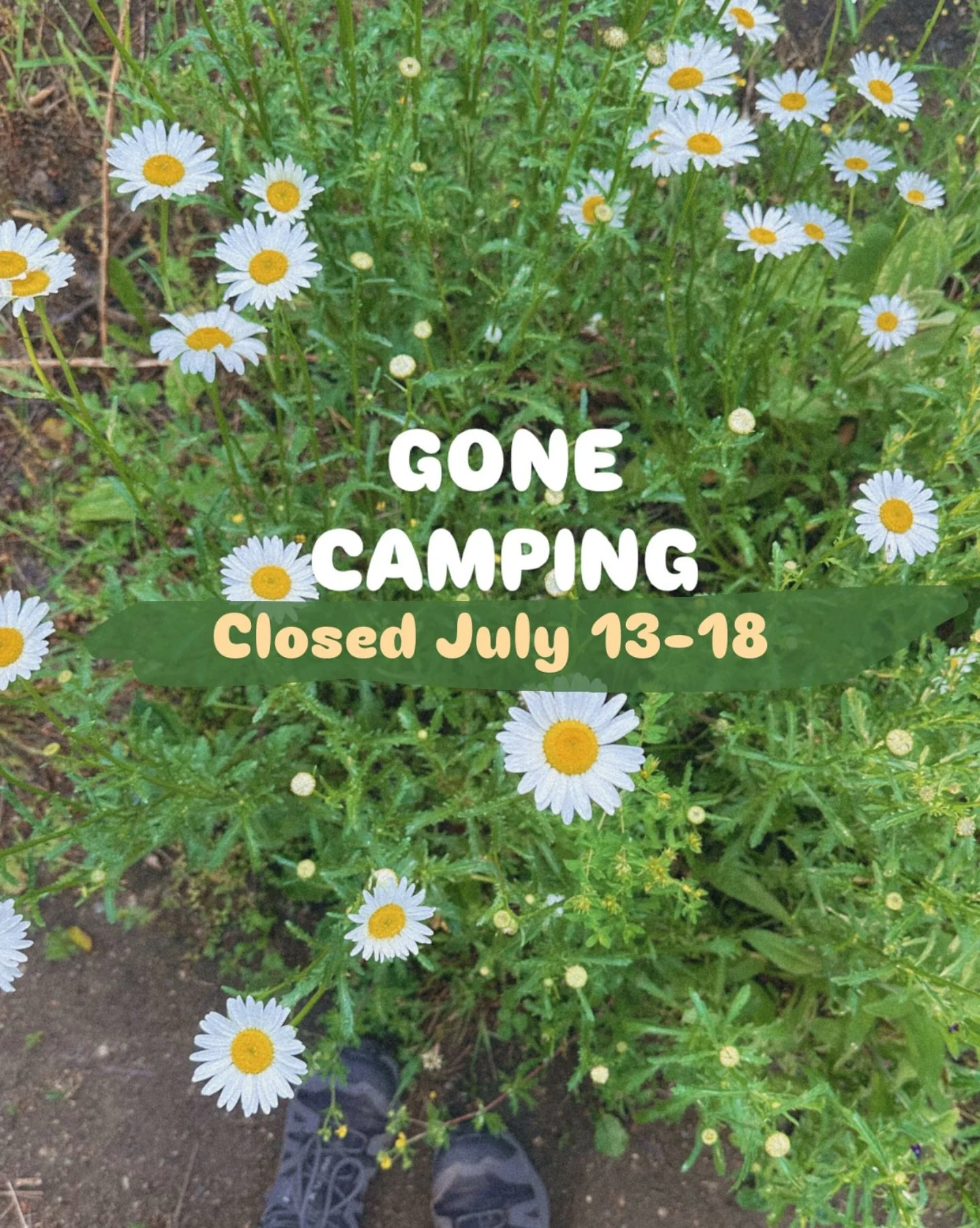 Closed for our annual camping trip ✌🏻
When half the staff is family, this is just the way it&rsquo;s gotta be 😅😅 
See ya at Salty next weekend 😘