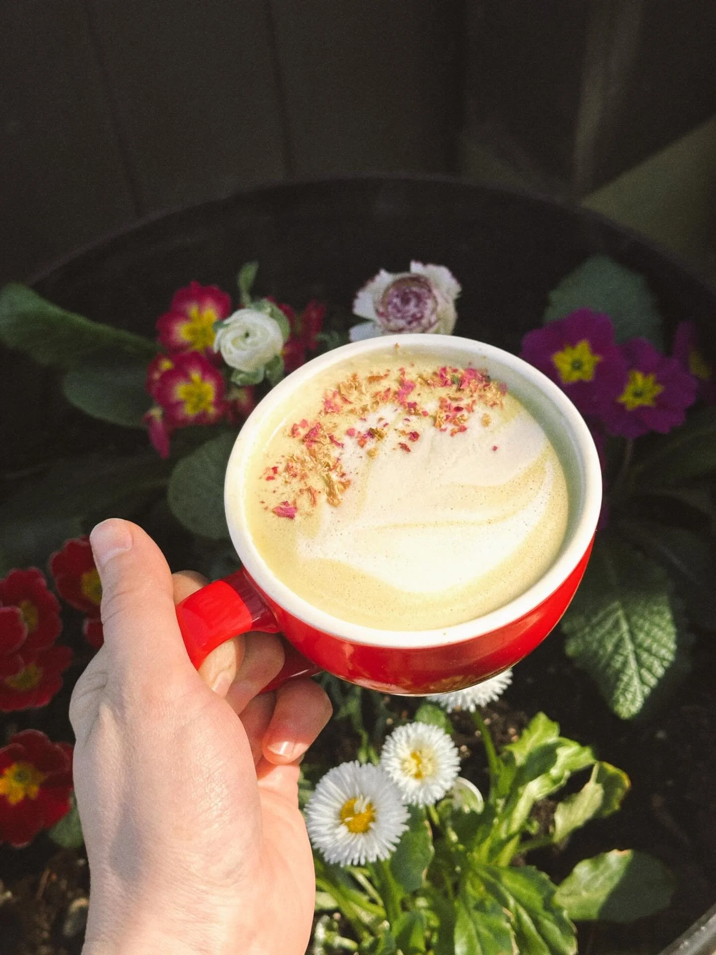 Lemon lovers, have you tried the spring mist yet? An Earl grey latte with our house made lemon syrup, topped with rose petals 🍋 
This sweetener also pairs great with a matcha 💚

What drink feature are you looking forward to next ?