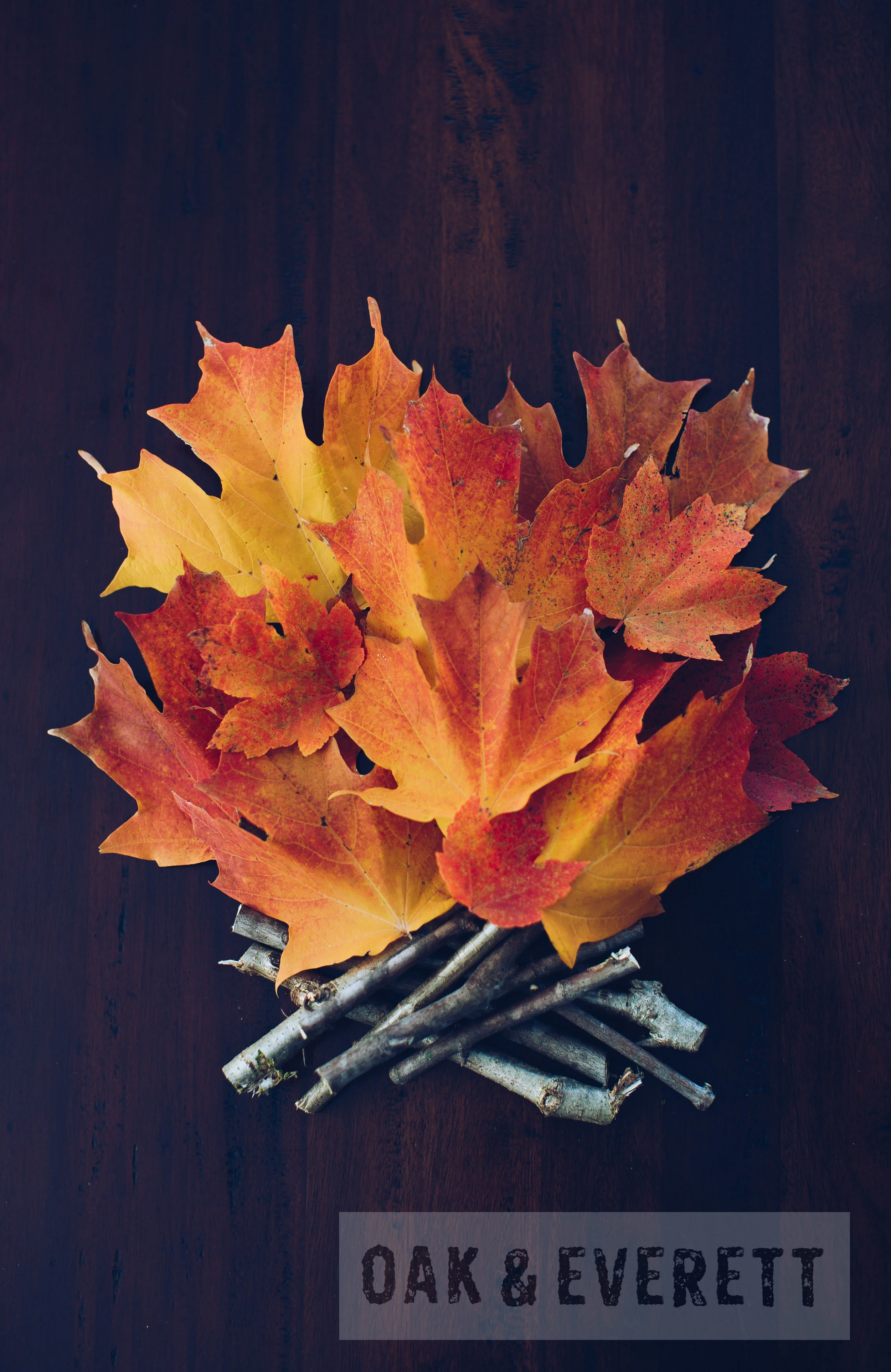 Red Fire, Five Points, Tree of Life