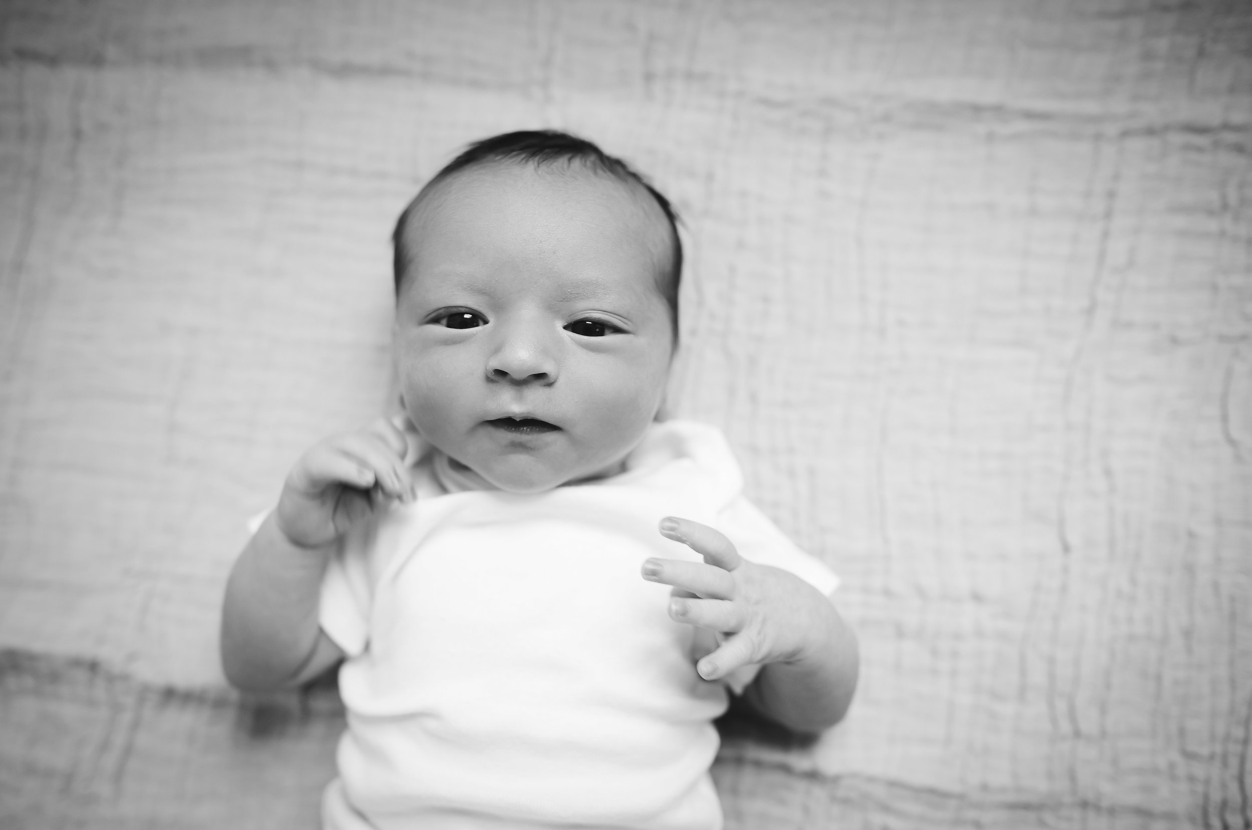 _J6A6958-Edit.jpg
