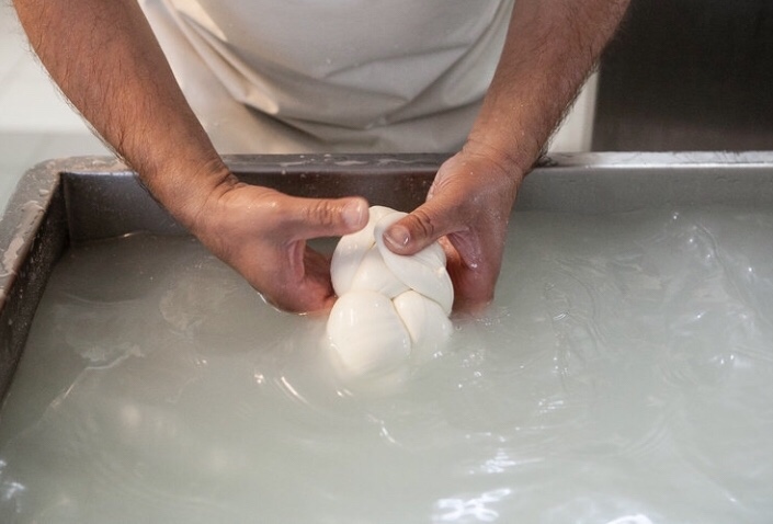 Buffalo Mozzarella