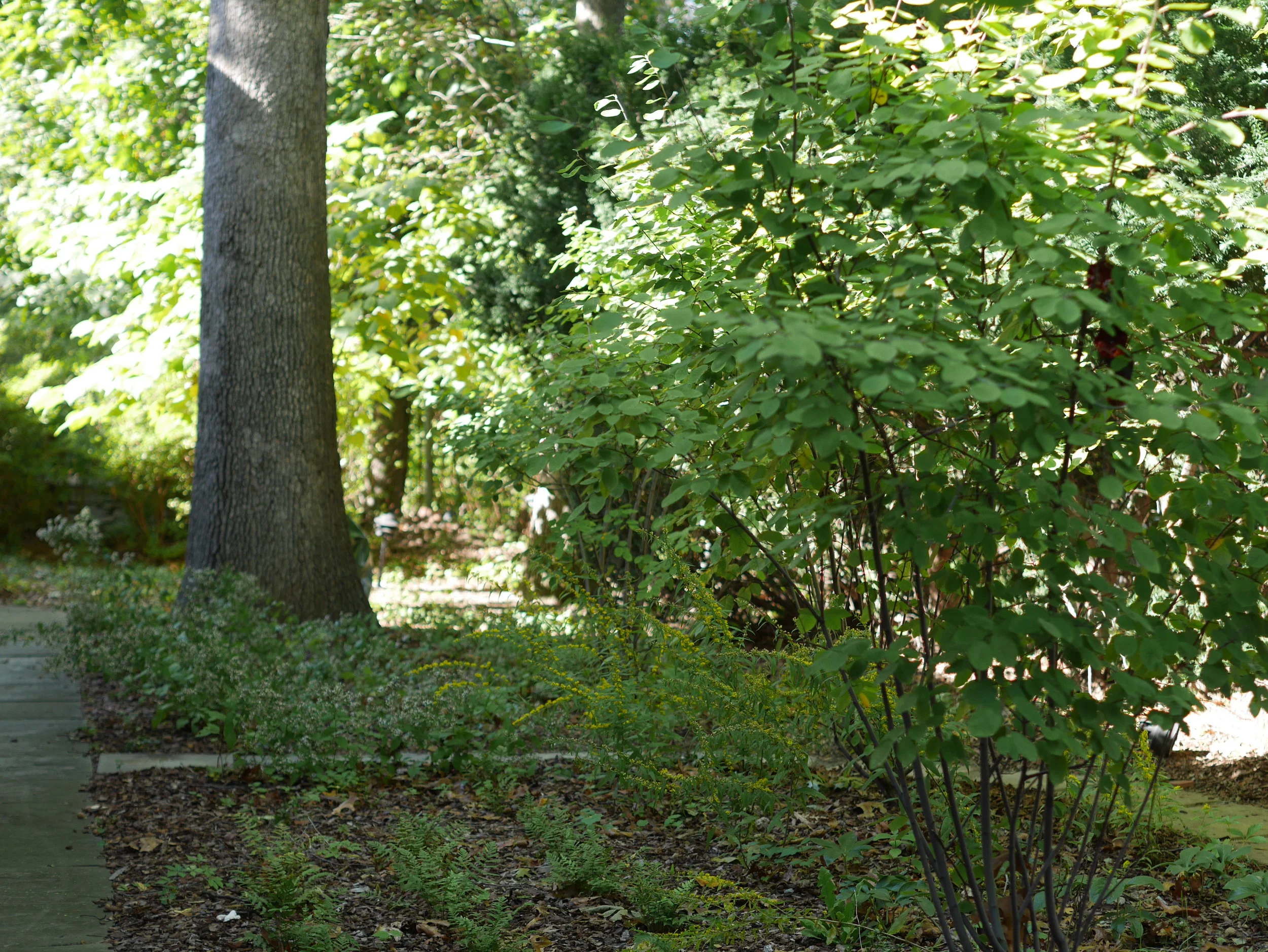 P1080351.JPG