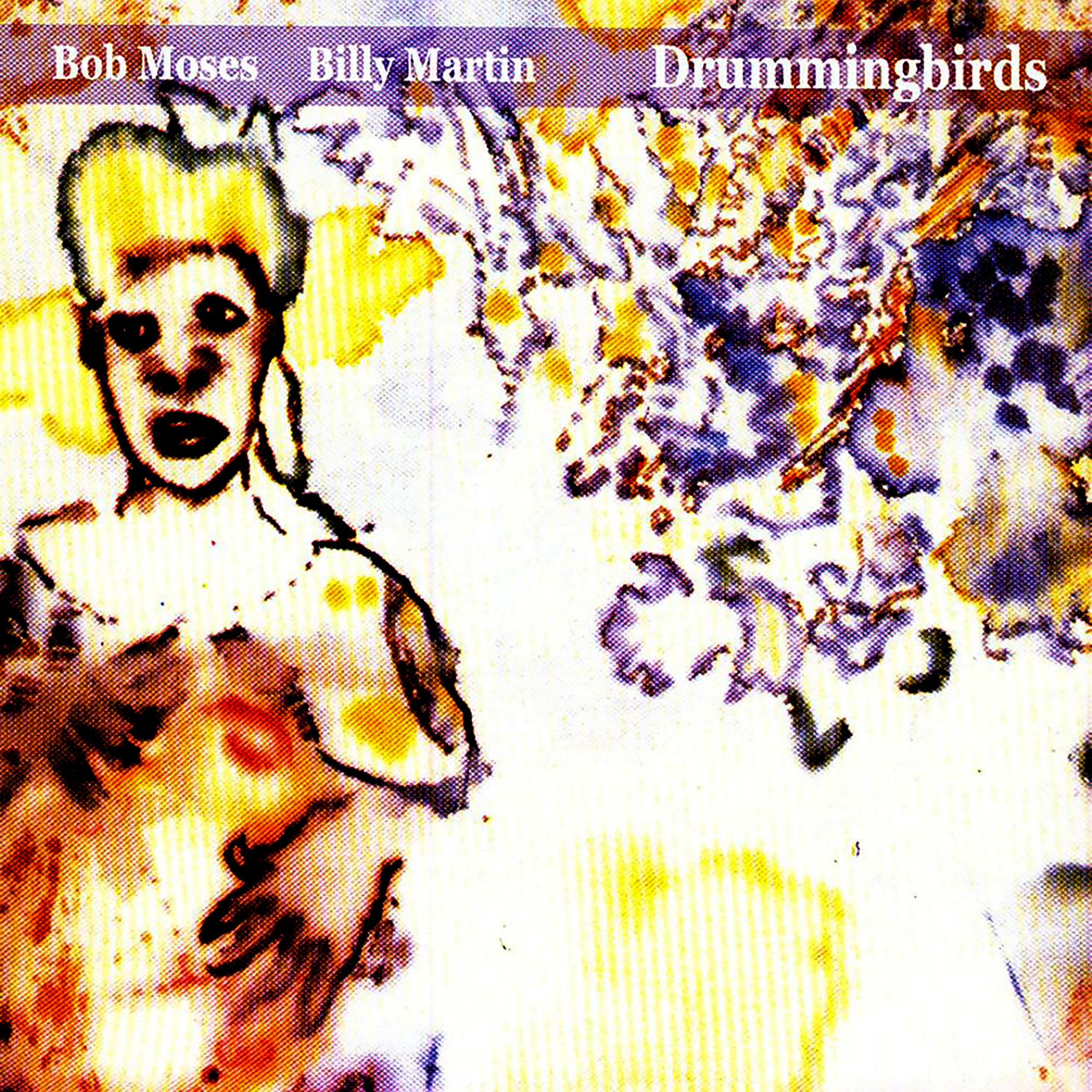   DRUMMINGBIRDS    Compact Disc -    E-mail your order     Release date - 2003    Label -    Amulet     Ra Kalam Bob Moses - Drums, percussion    Billy Martin - Drums, percussion  