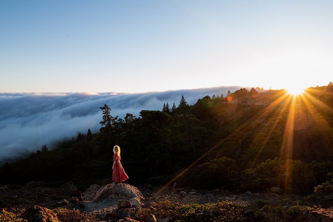 Finding balance on the seesaw of fog and sun. 

&ldquo;In the right light, at the right time, everything is extraordinary.&rdquo; - Aaron Rose

Welcome to our #chasing_light_loop. 

We are a group of artists showing you how different types of light a
