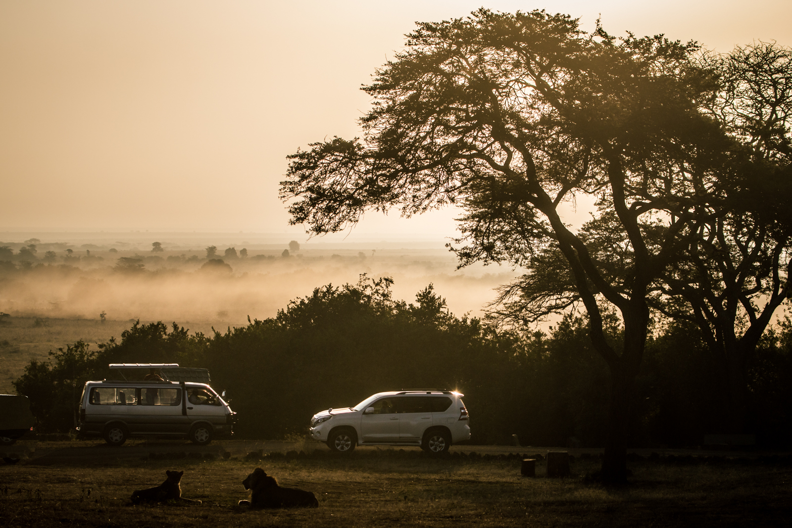 Morning mists call for Safaris and Lions