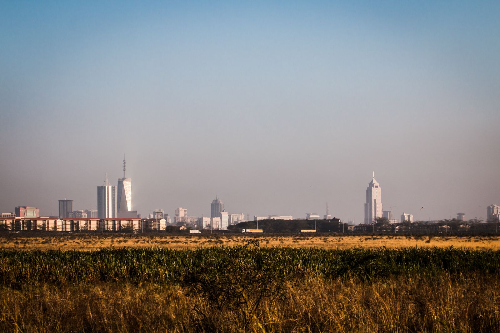 Nairobi city in the distance, and yes there's probably a lion behind me.