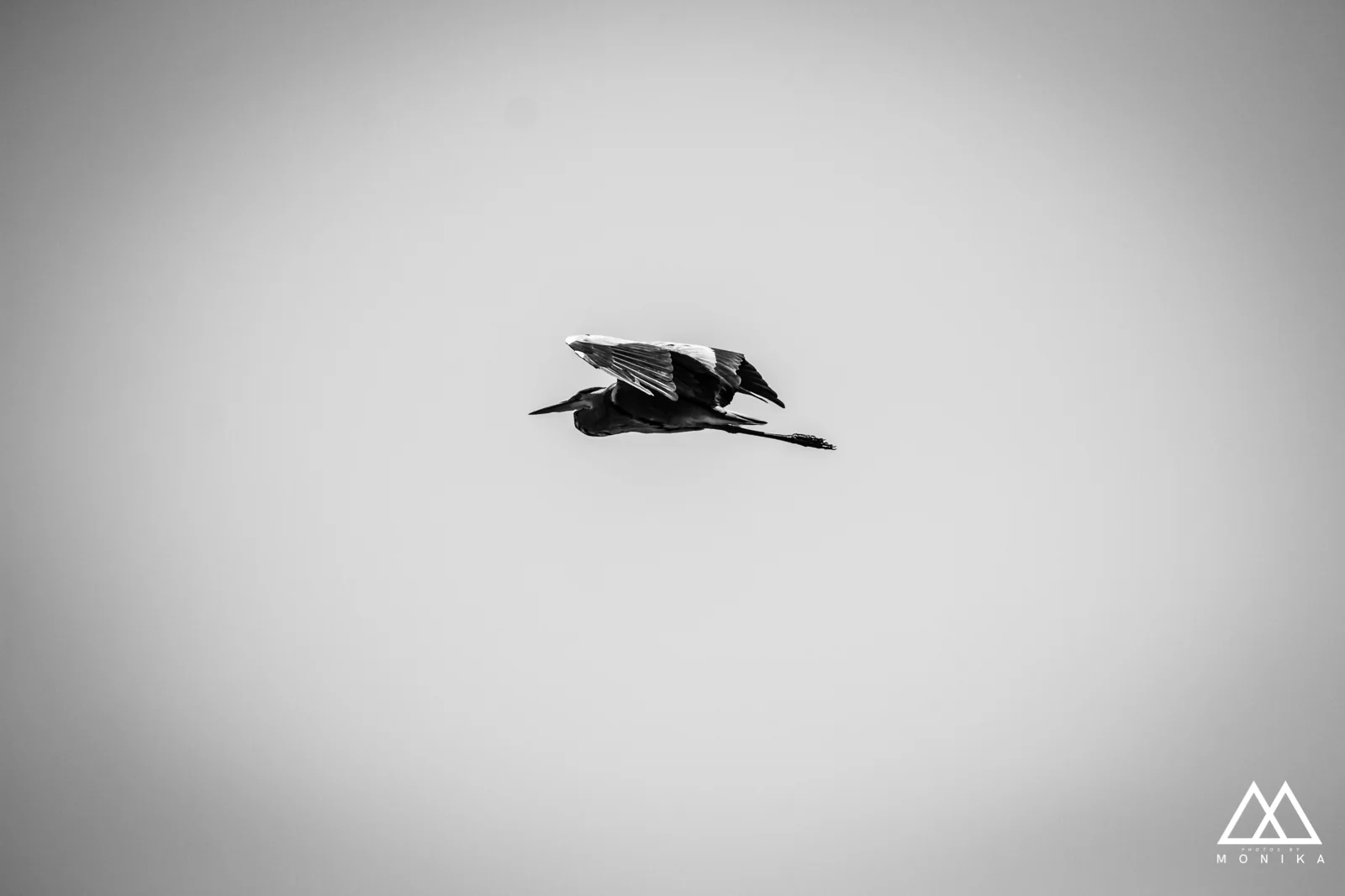 20180121-IMG_3166.jpg