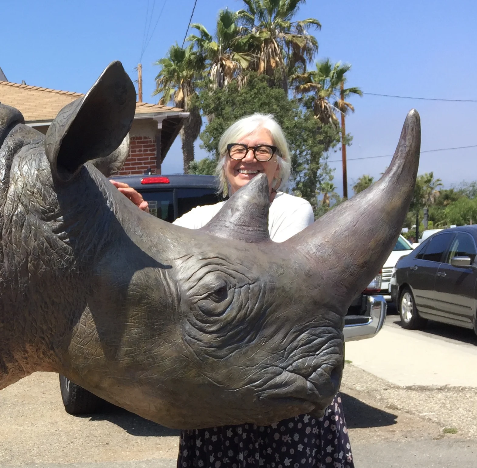 Rhinoride comes to Silo