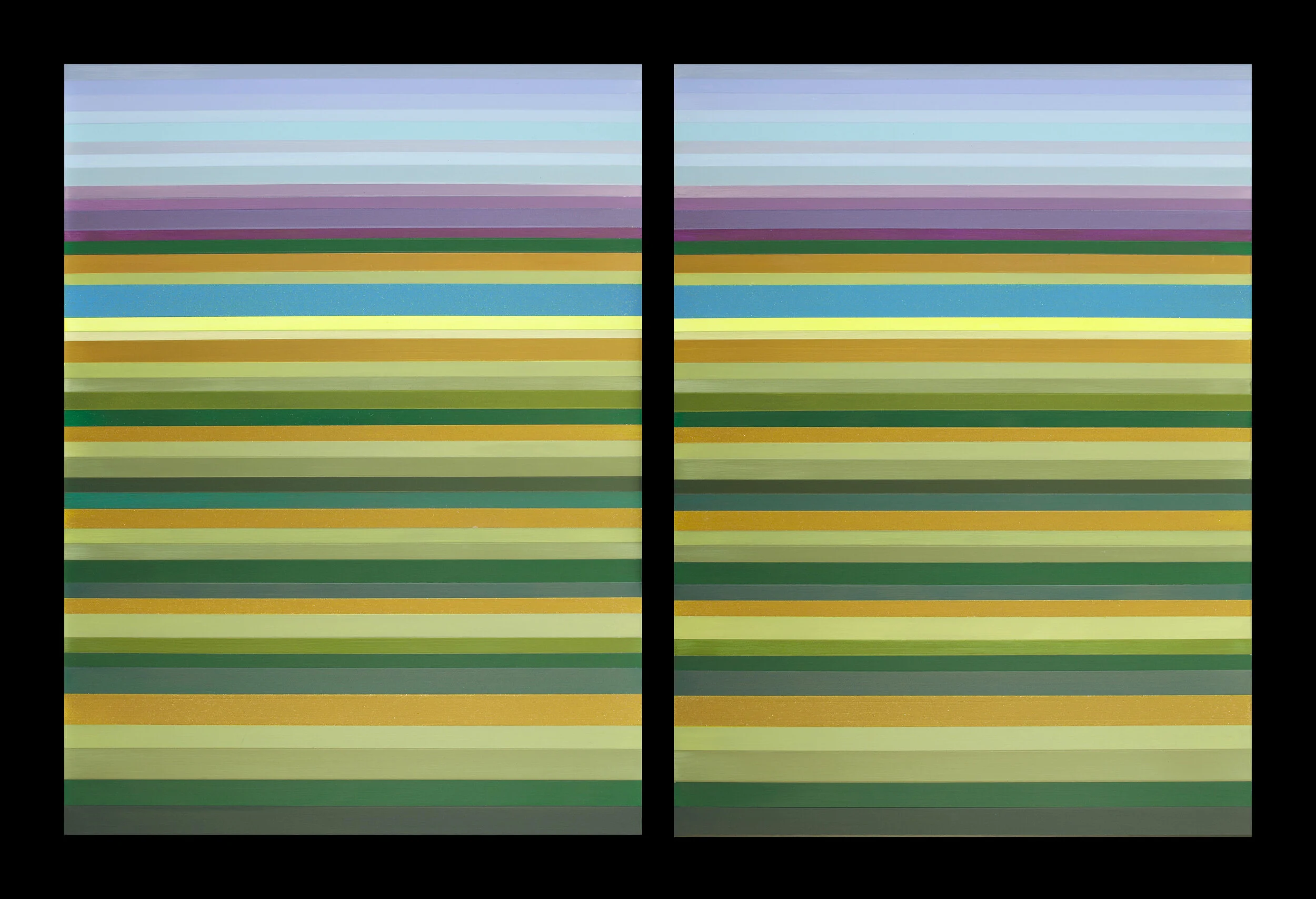 CYNTHIA MARTIN Divided Landscape .jpg